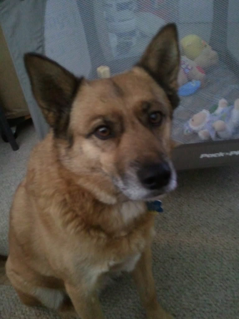 2011-04-17121823.jpg