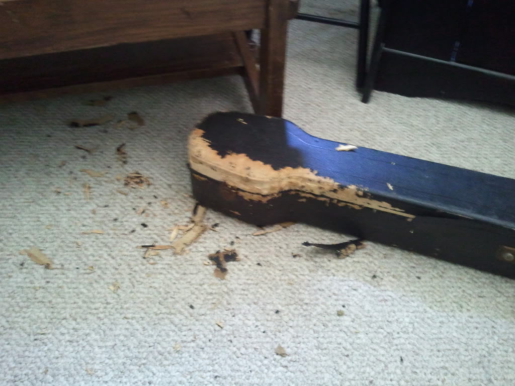 2011-05-11120256.jpg
