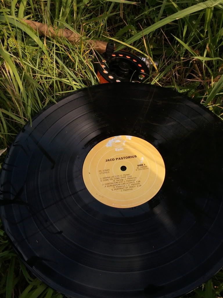 2011-08-13171609.jpg