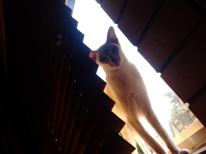 2011-11-04085539.jpg