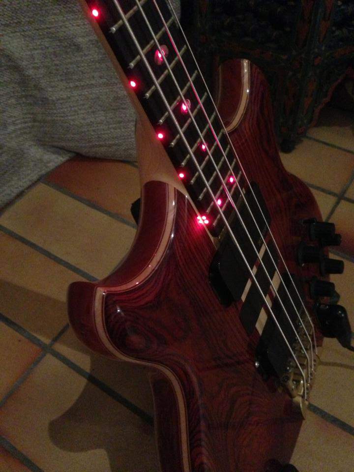 2011 LEDs.jpg
