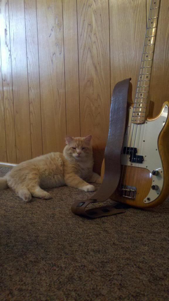 2012-07-04131346.jpg