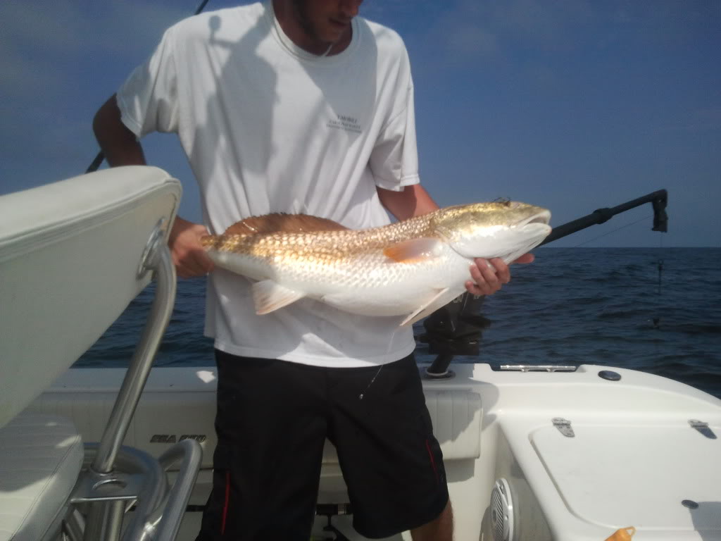 2012-08-18103730.jpg