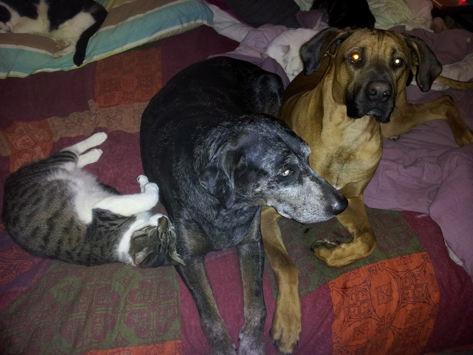 20120305_164729.jpg
