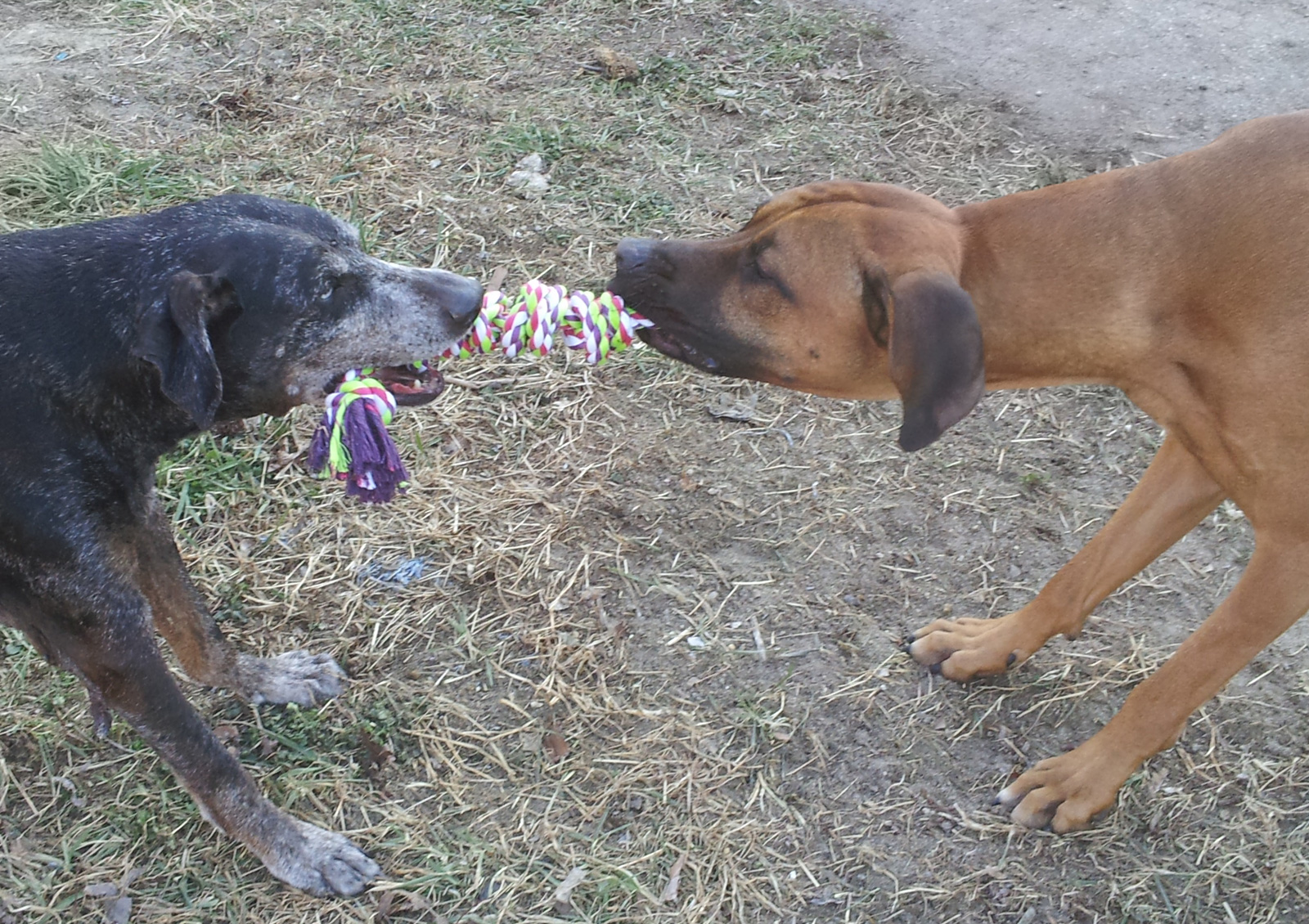 20120306_161551.jpg