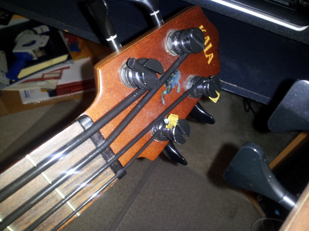 20120403_113702.jpg