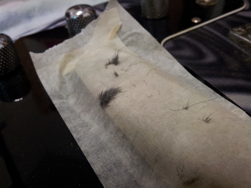 20120522_000456.jpg