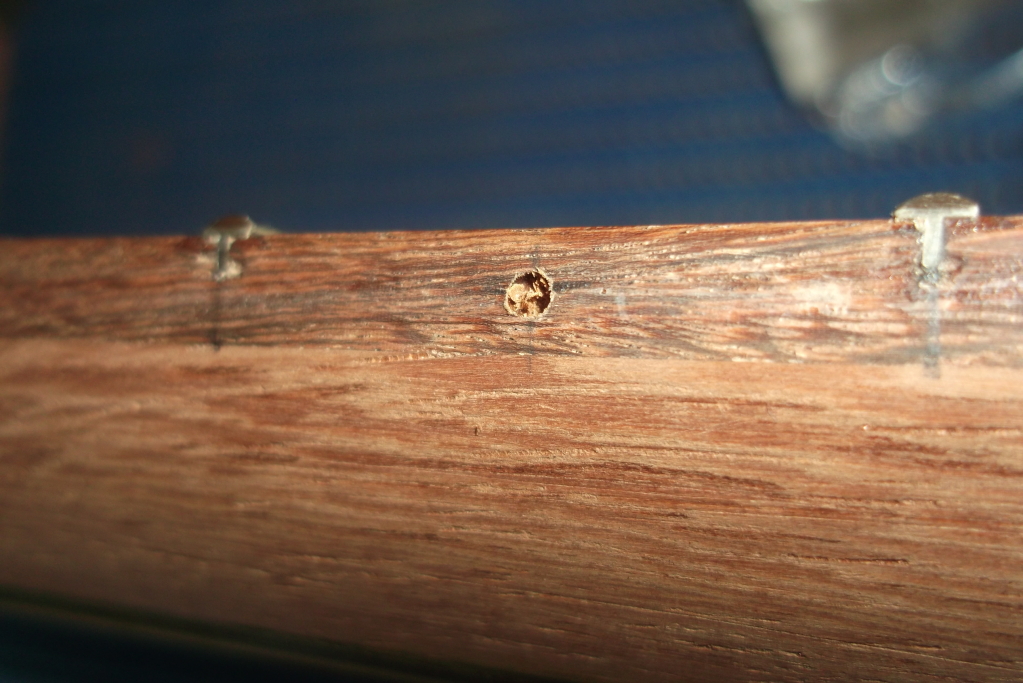 20120616madera022.jpg