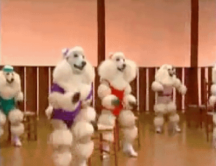 2012s_most_bizarre_gifs_01.gif