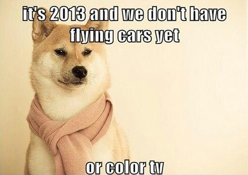 2013-Dogs-Perspective_large.png