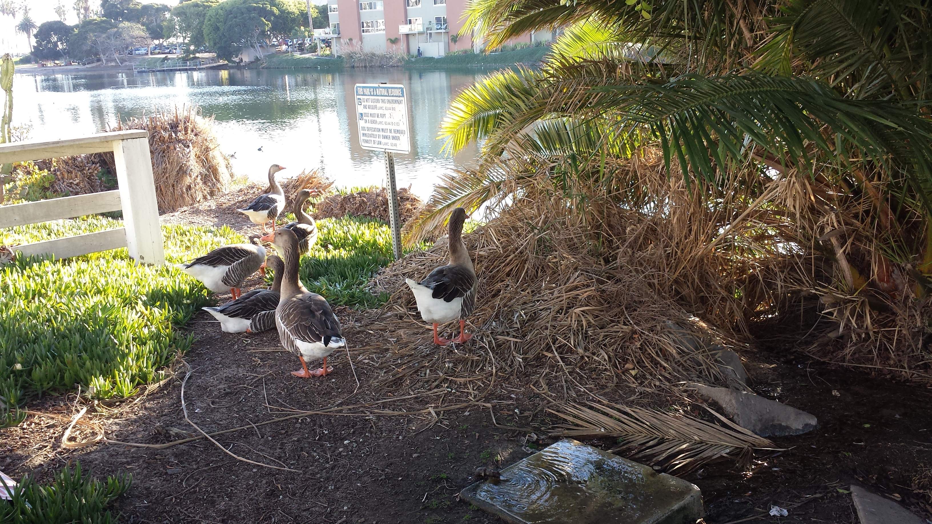 20131226_151830.jpg