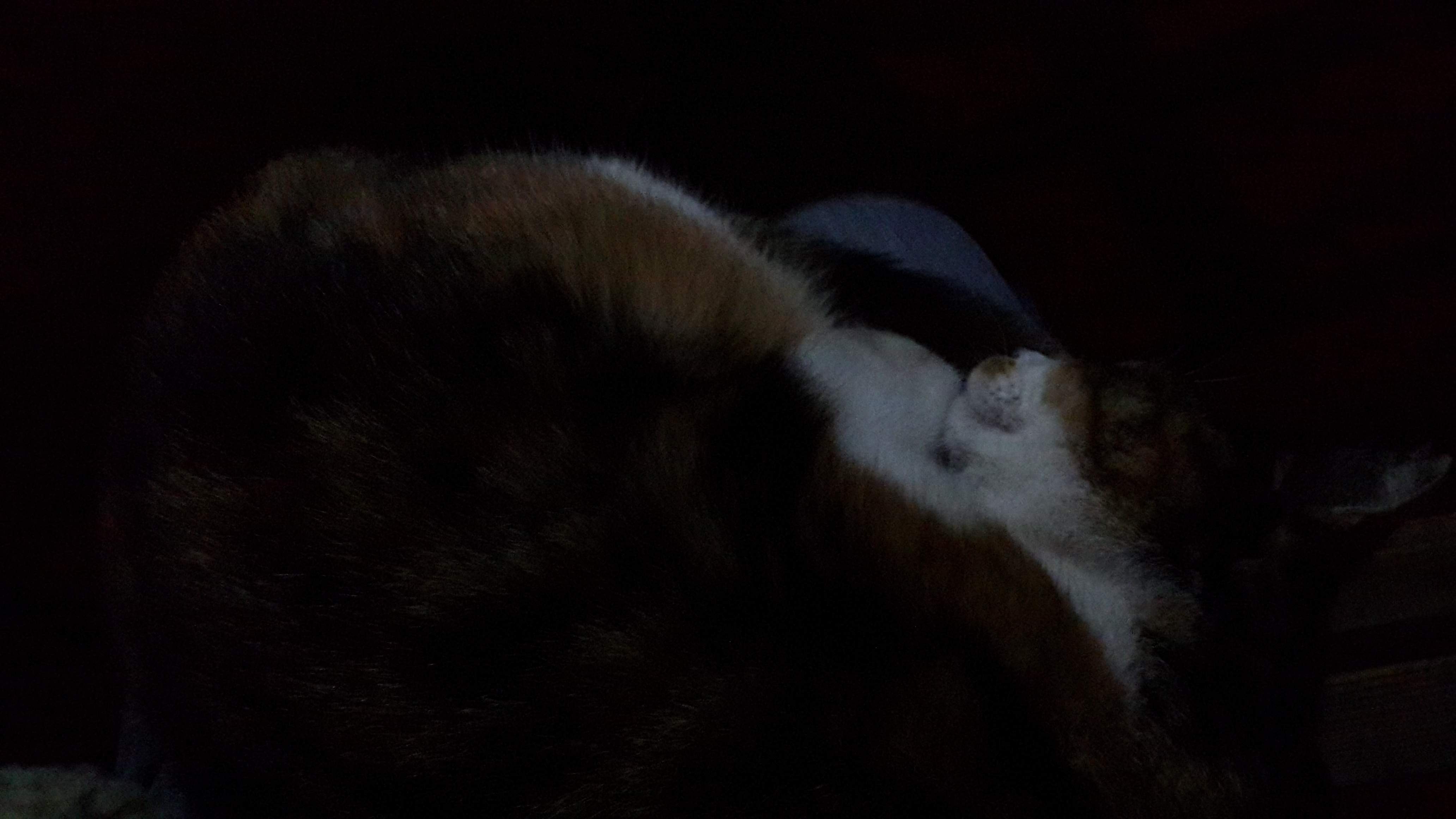 20140322_232207.jpg