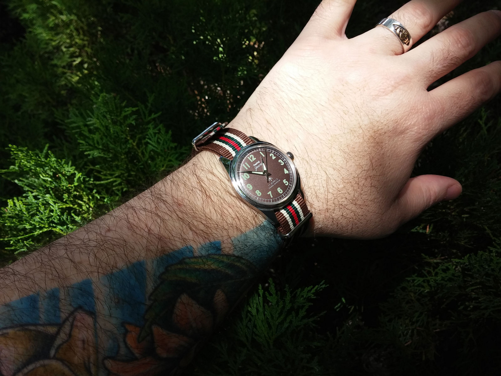20140606_Brown-HMT.jpg