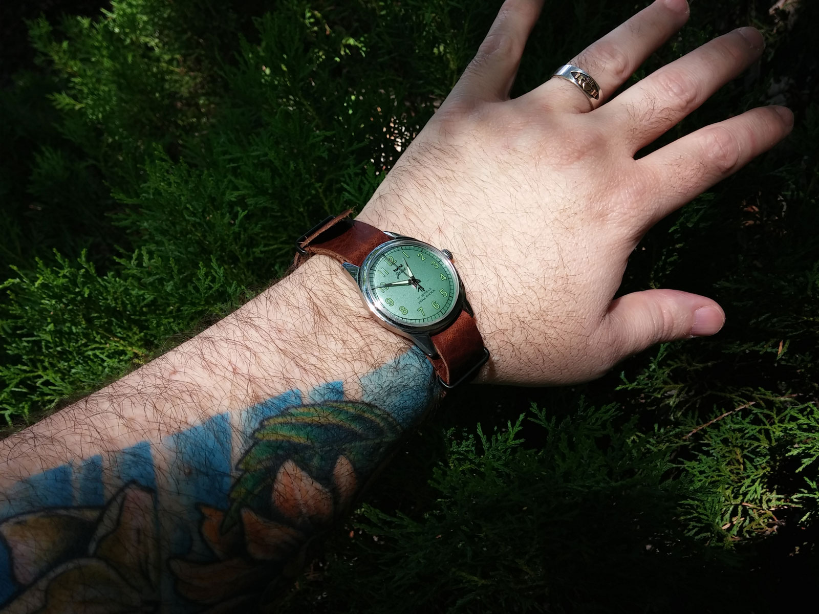 20140606_Green-HMT.jpg