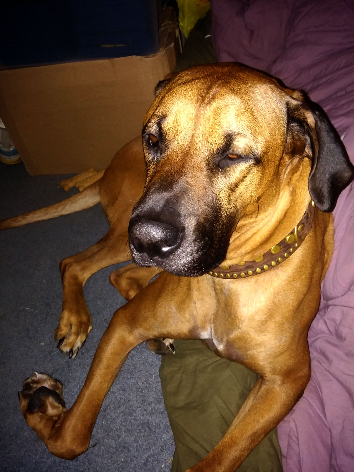 20140710_pup-check.jpg