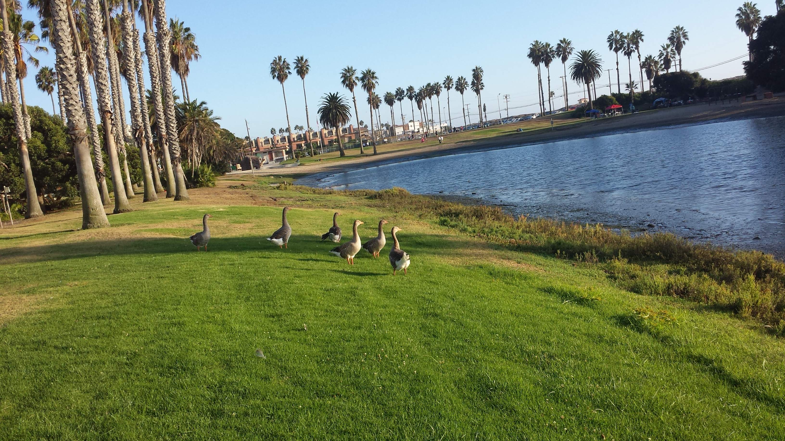 20140913_180719.jpg