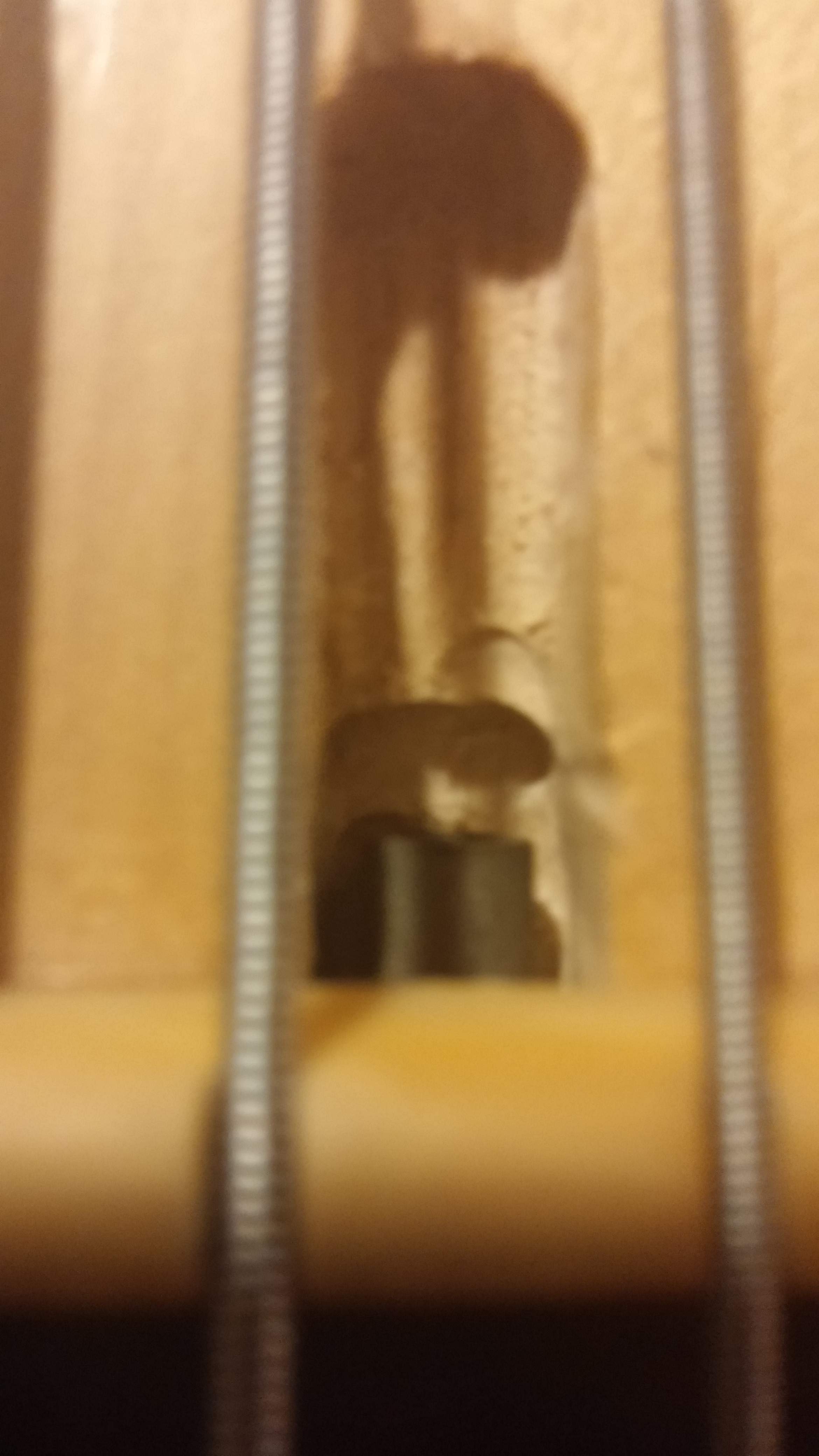 20140930_055921.jpg