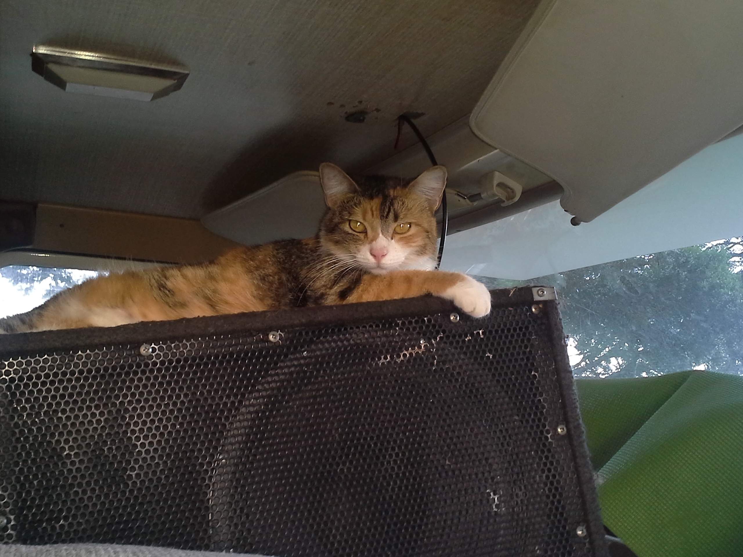 20141007_182517.jpg
