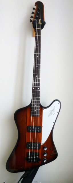 2015 T Bird.JPG