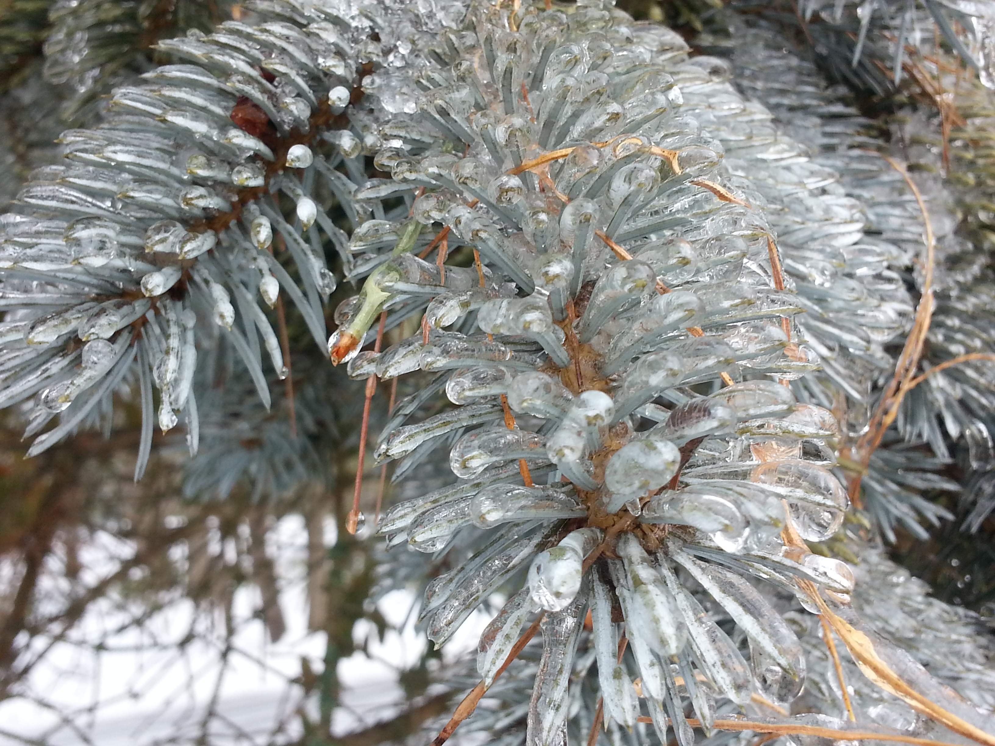 20150302_083711.jpg