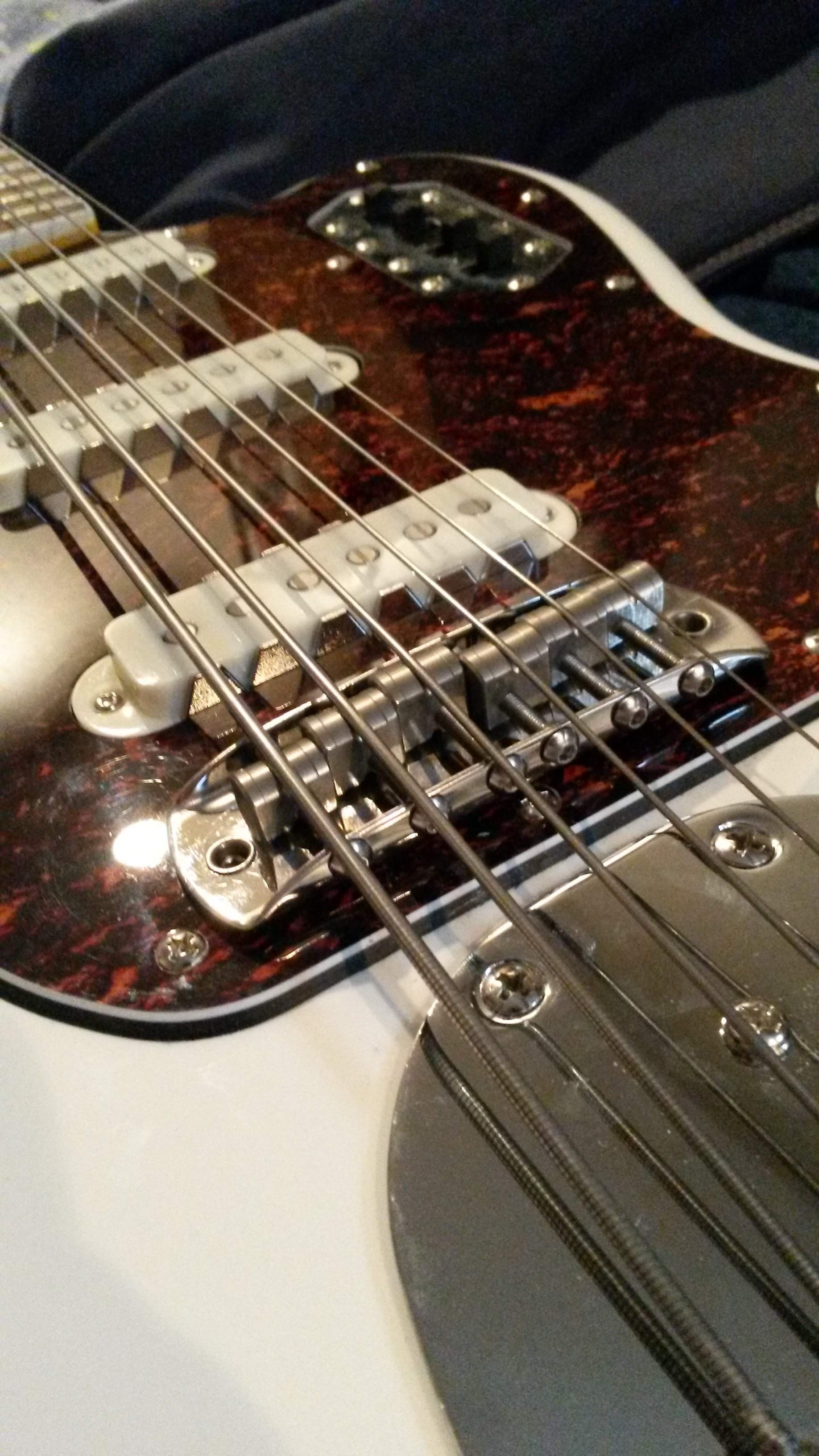 20150327_115245.jpg