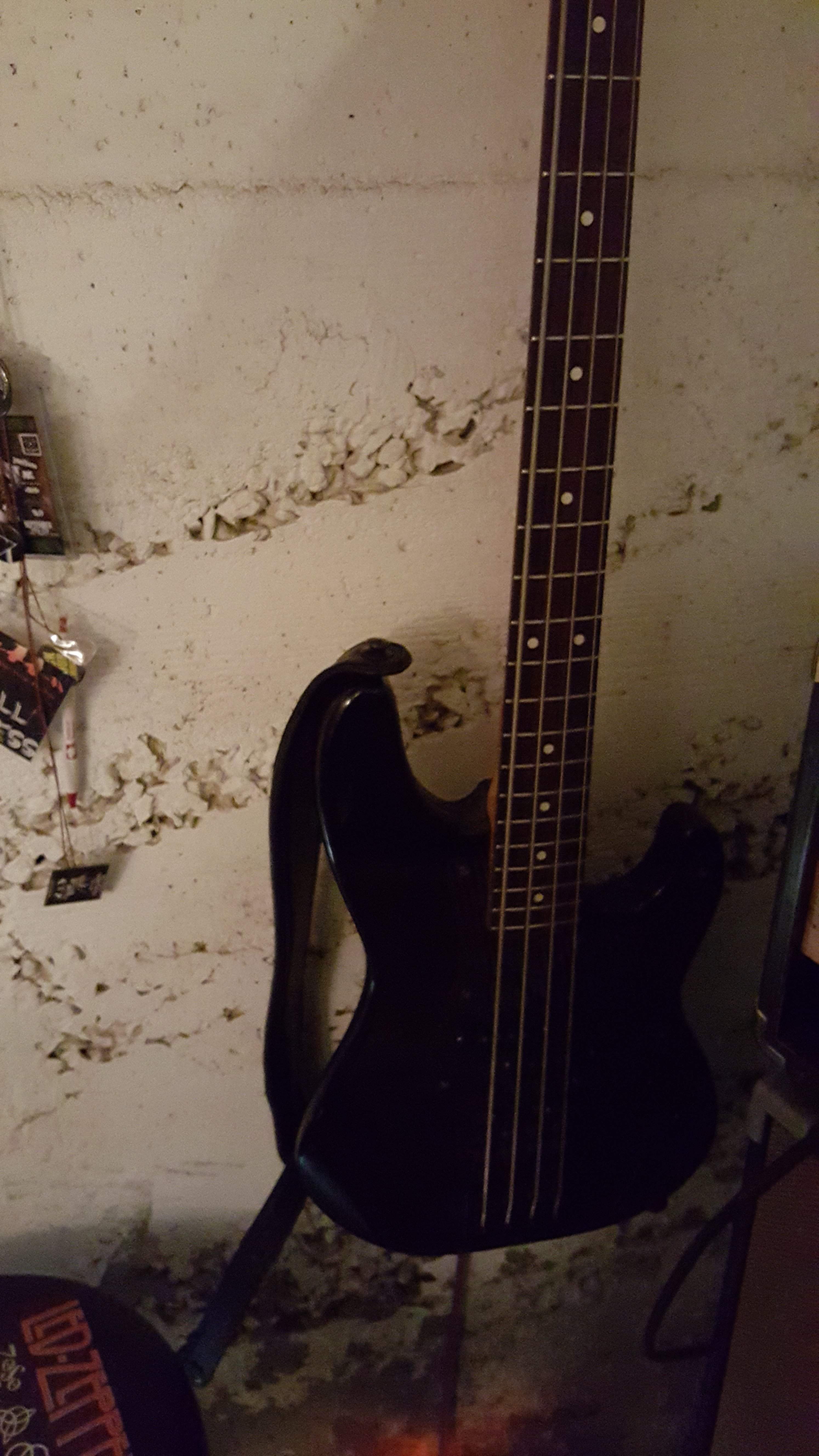 20150424_181639.jpg