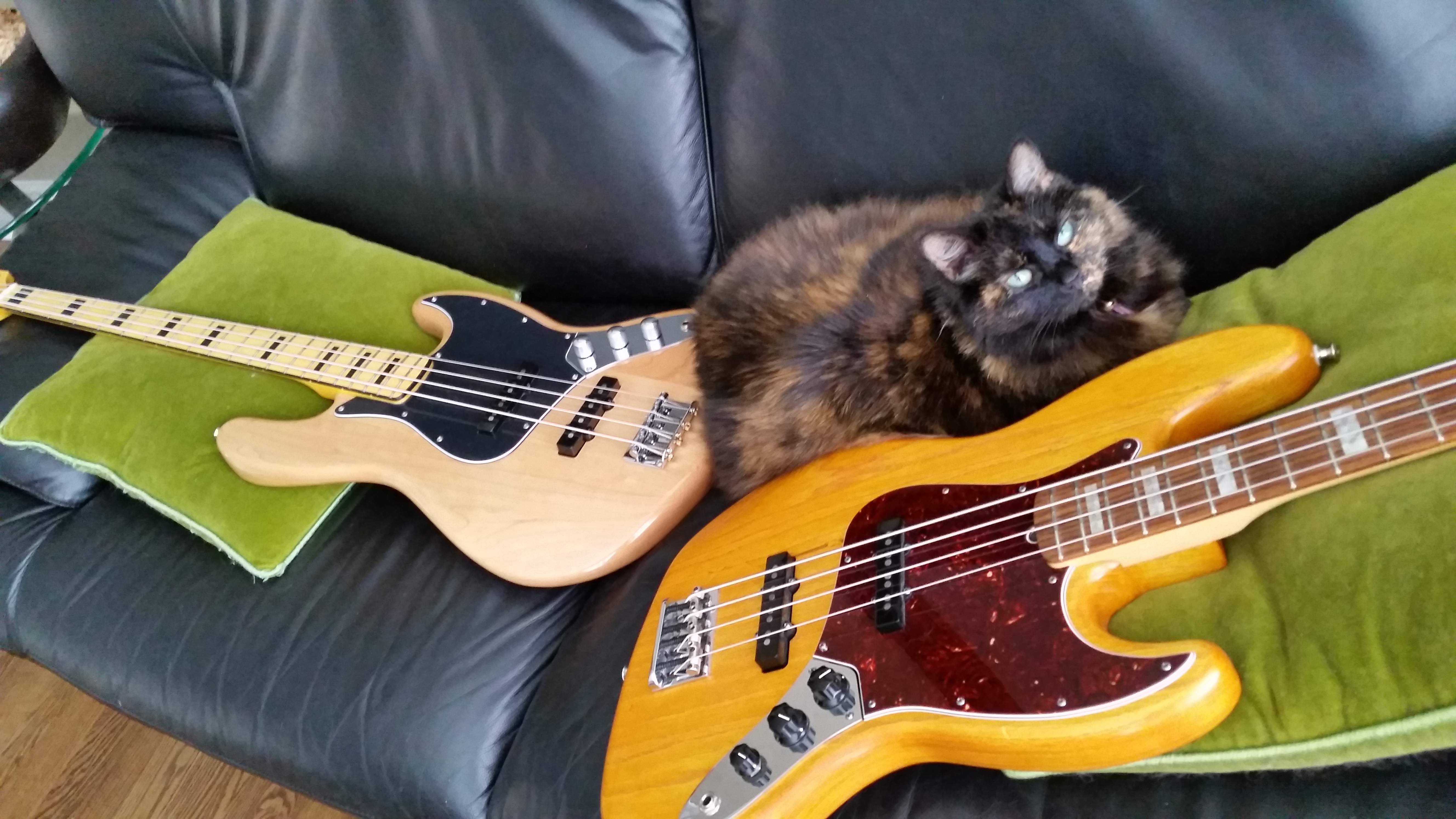 20150629_103627.jpg