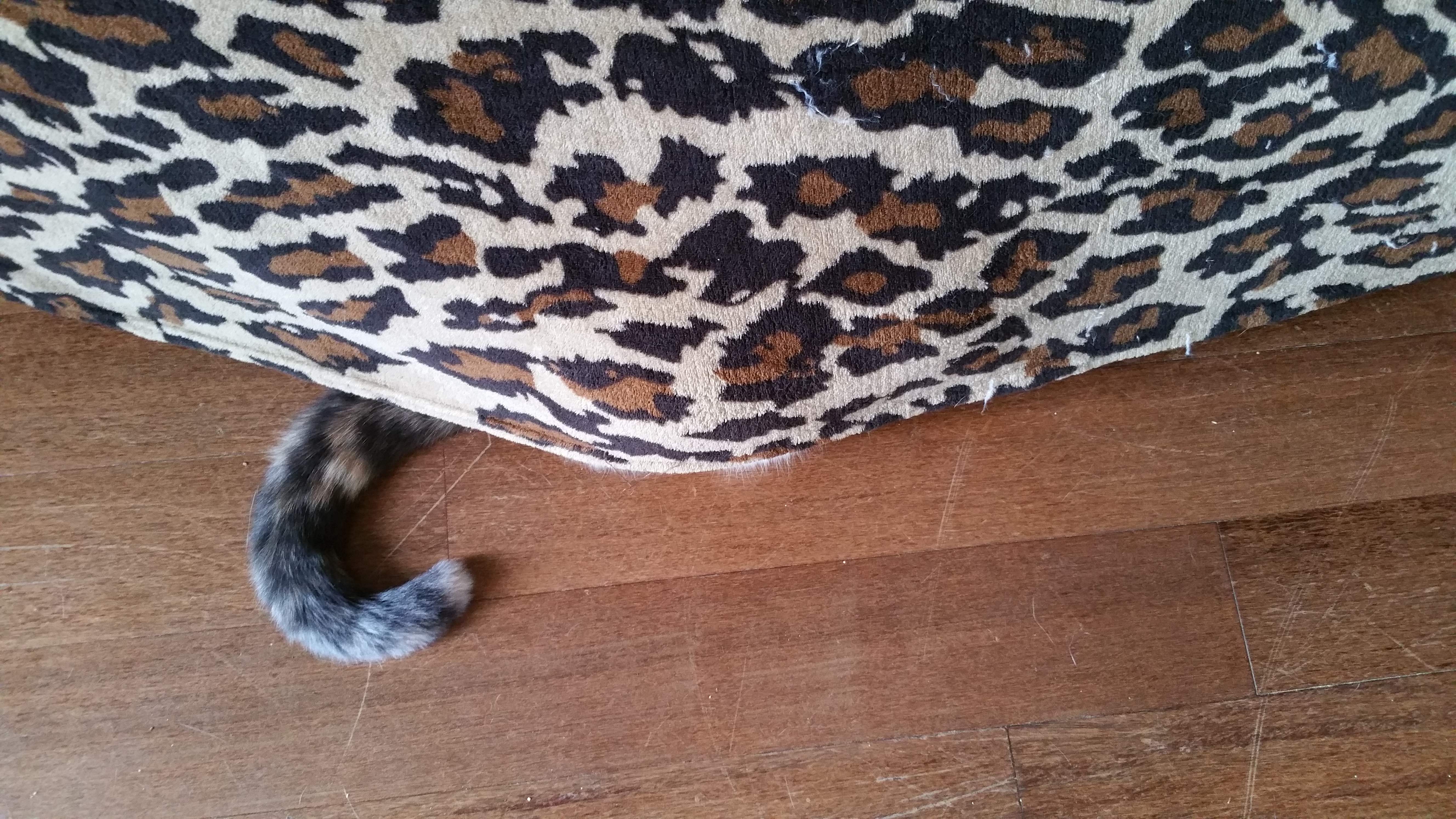 20150723_081633.jpg