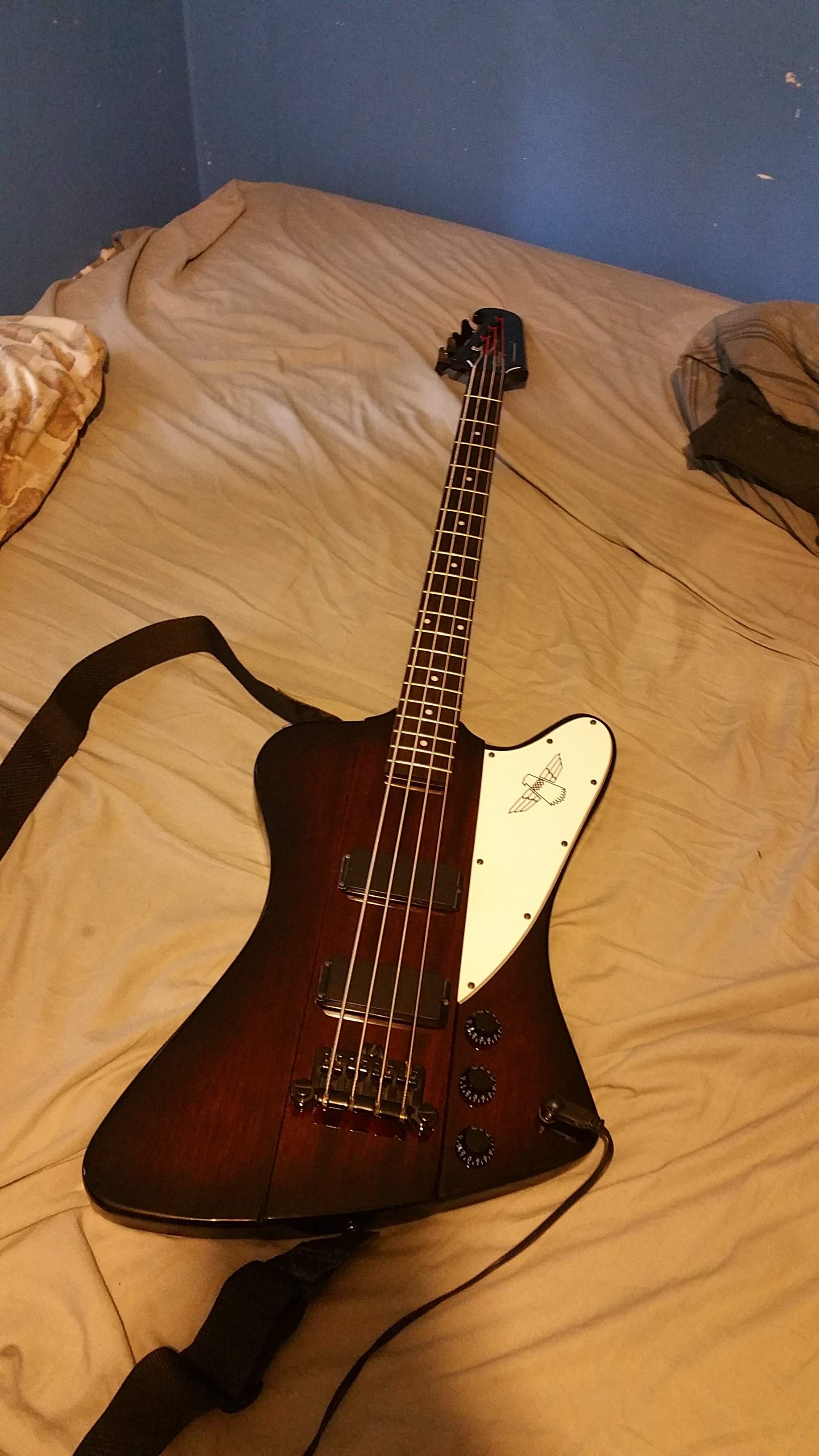20150807_184625.jpg