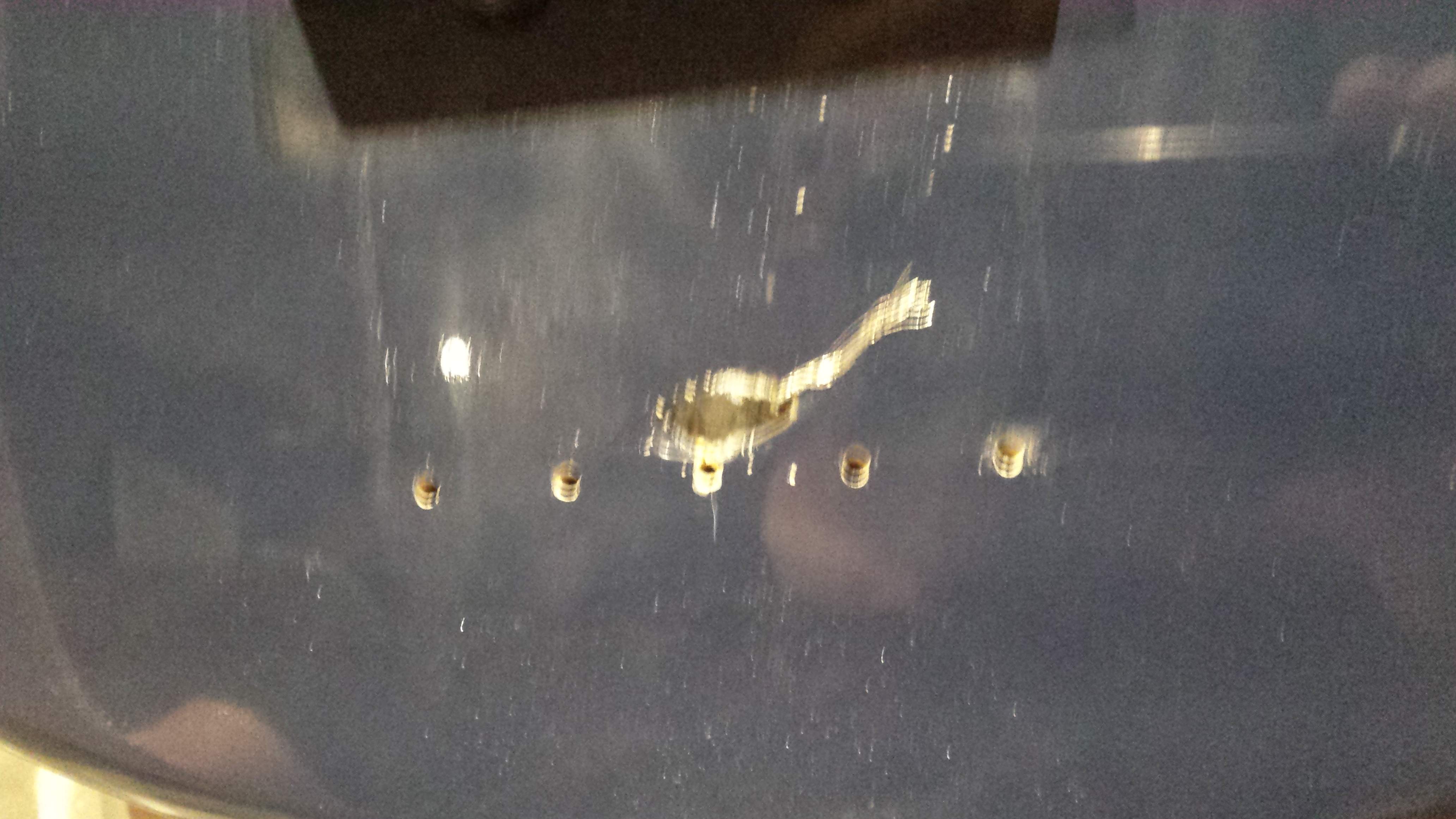 20150825_181611.jpg