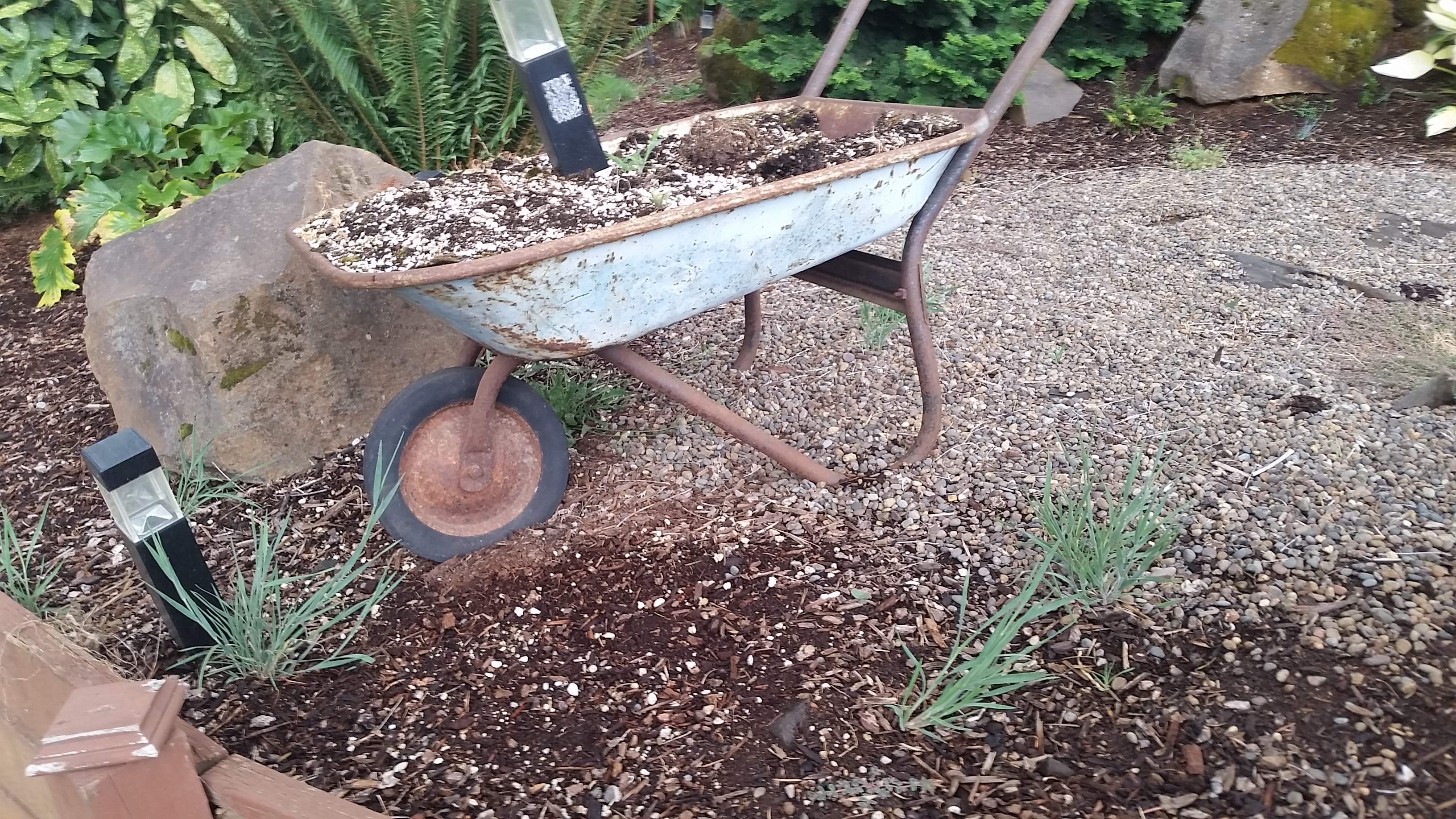 20150829_114752.jpg