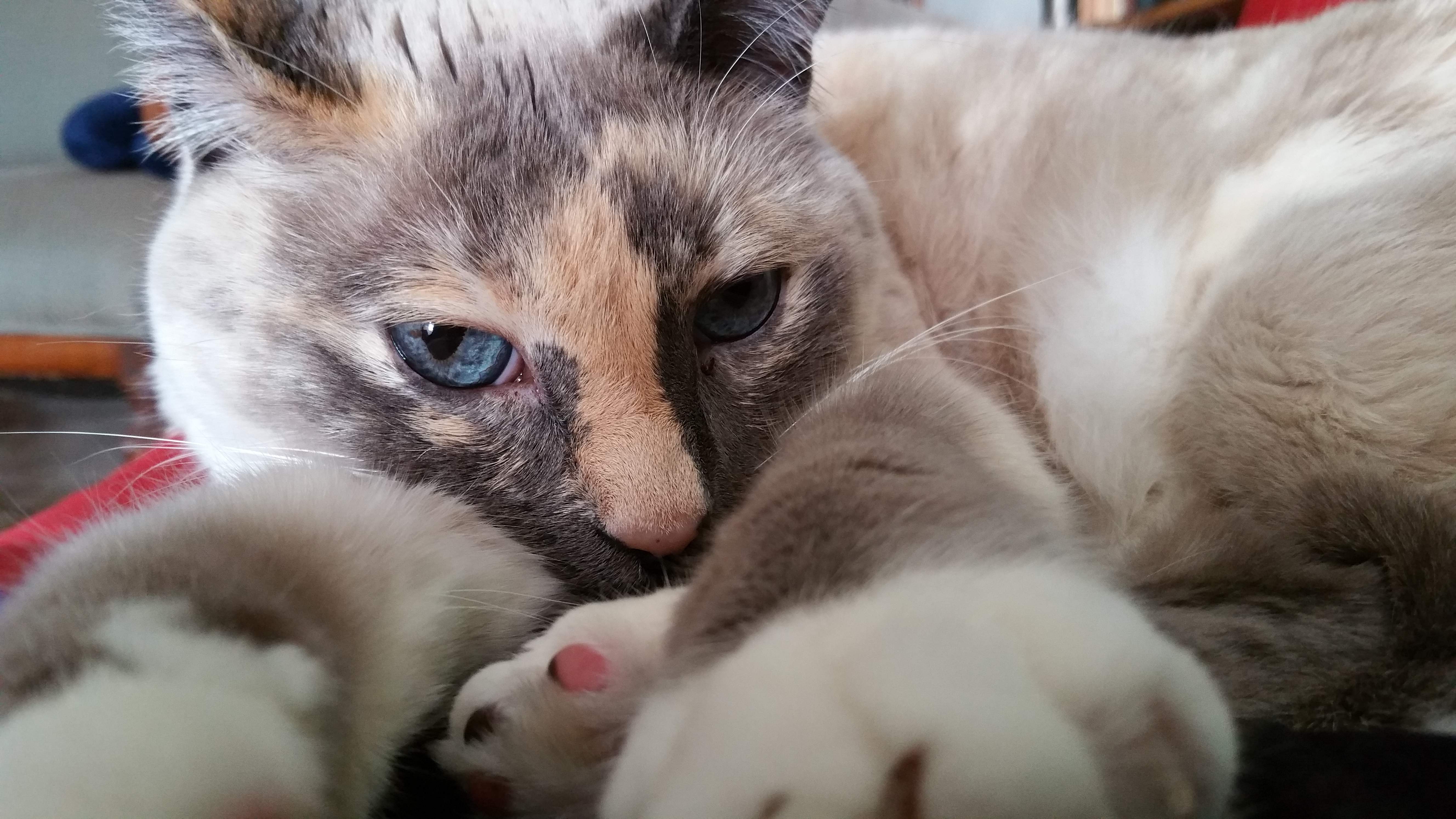 20150830_144425.jpg