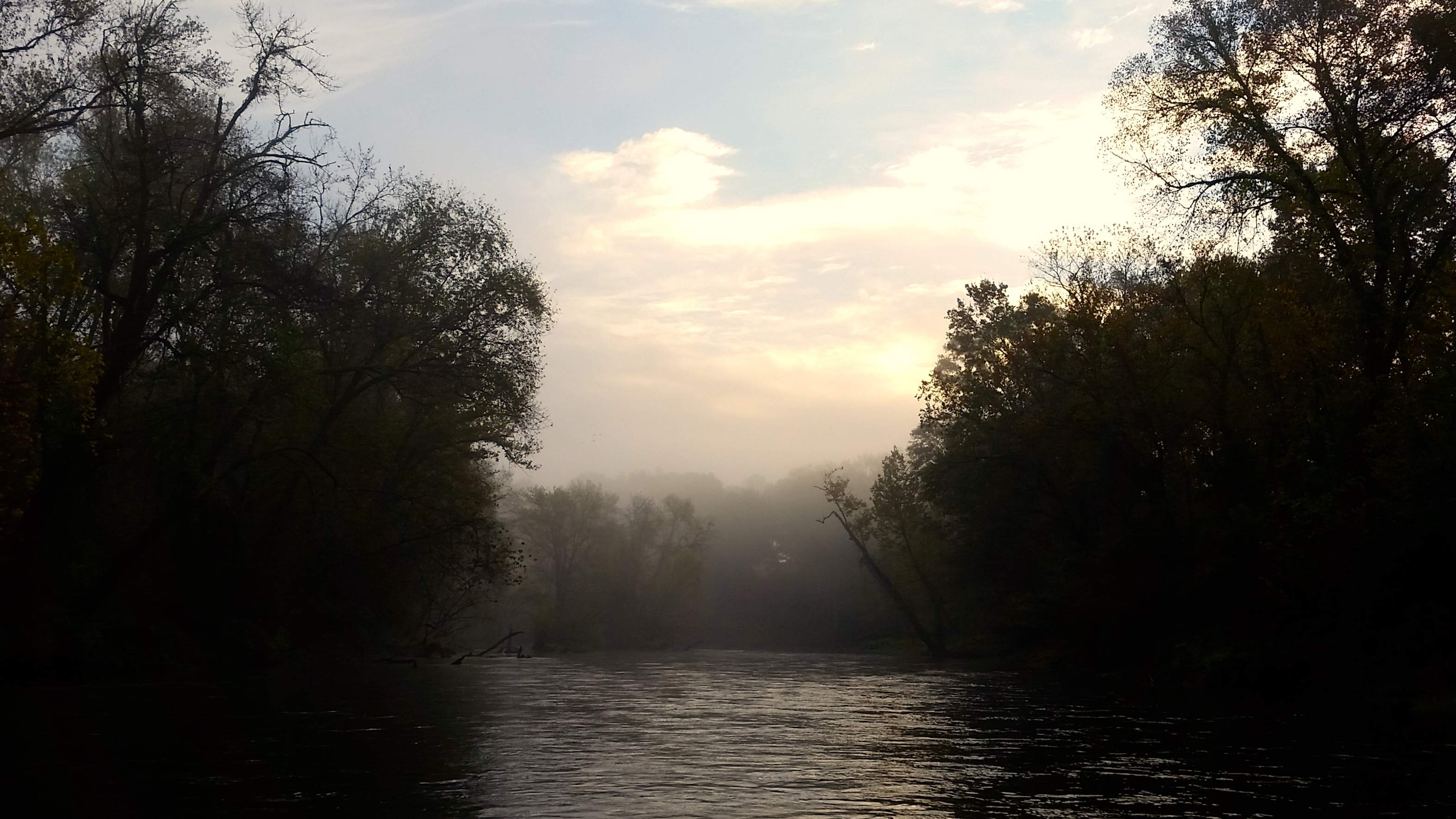 20151029_075204a copy.jpg