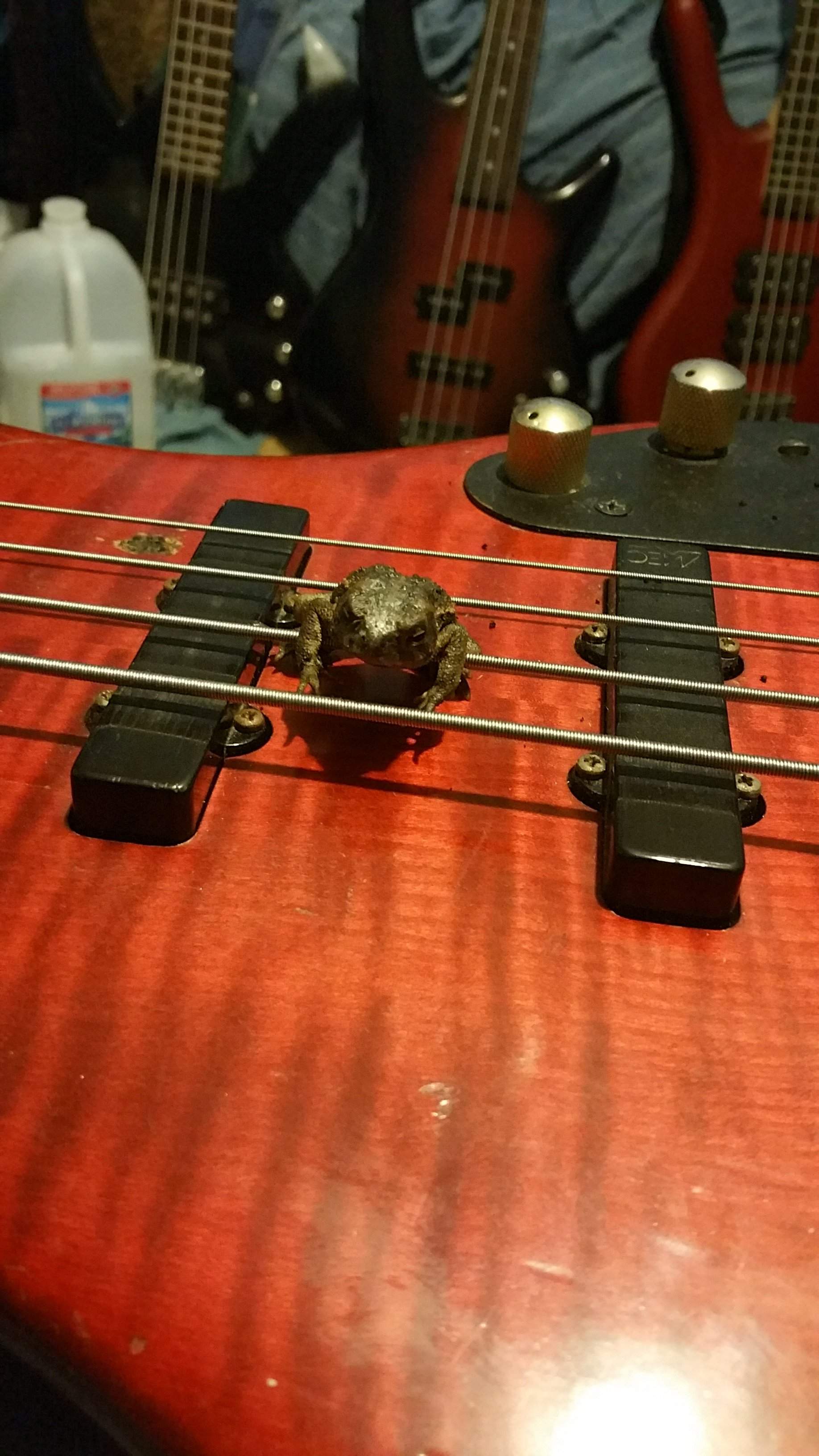 20151103_173137.jpg