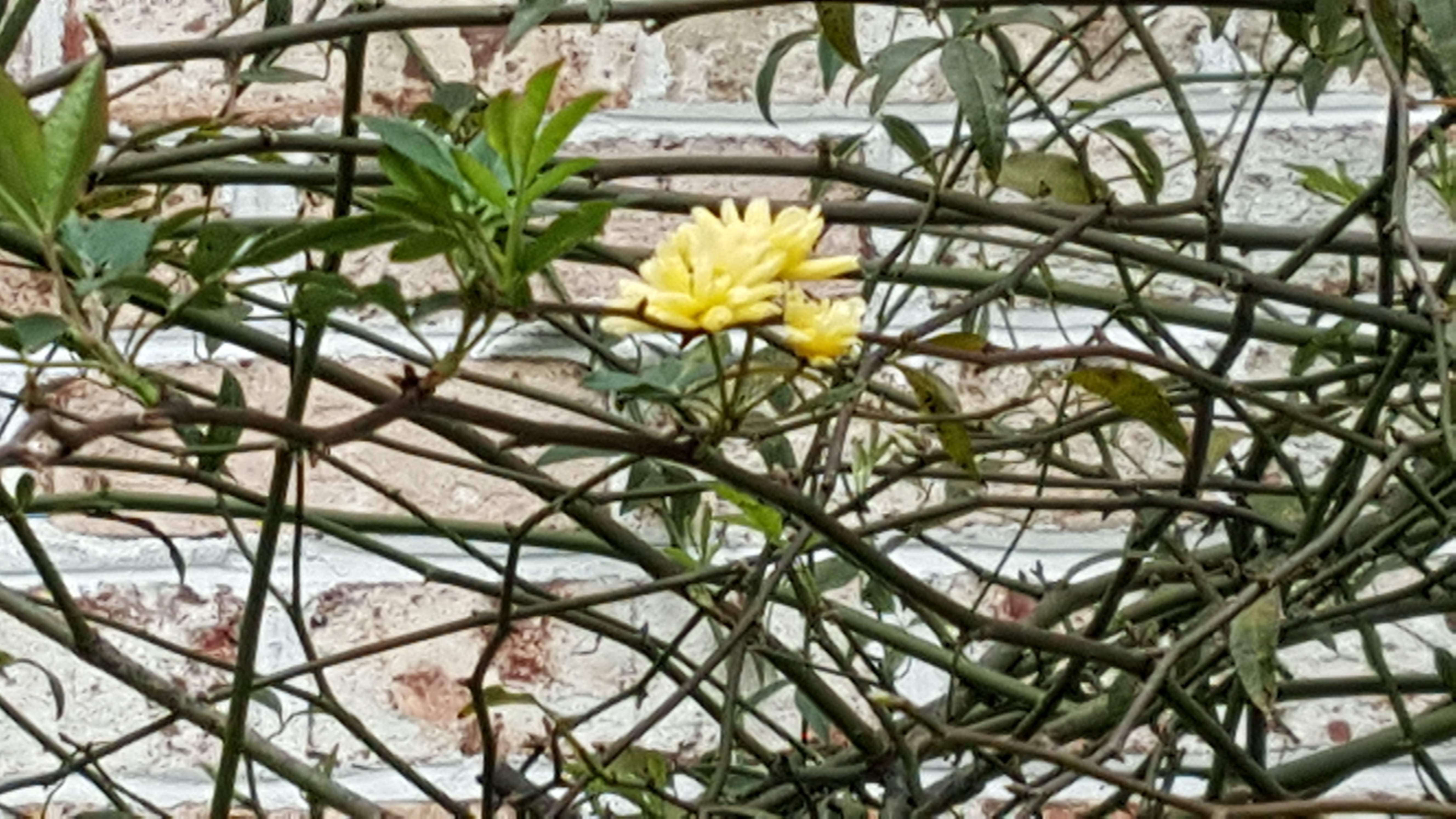20151225_111916.jpg
