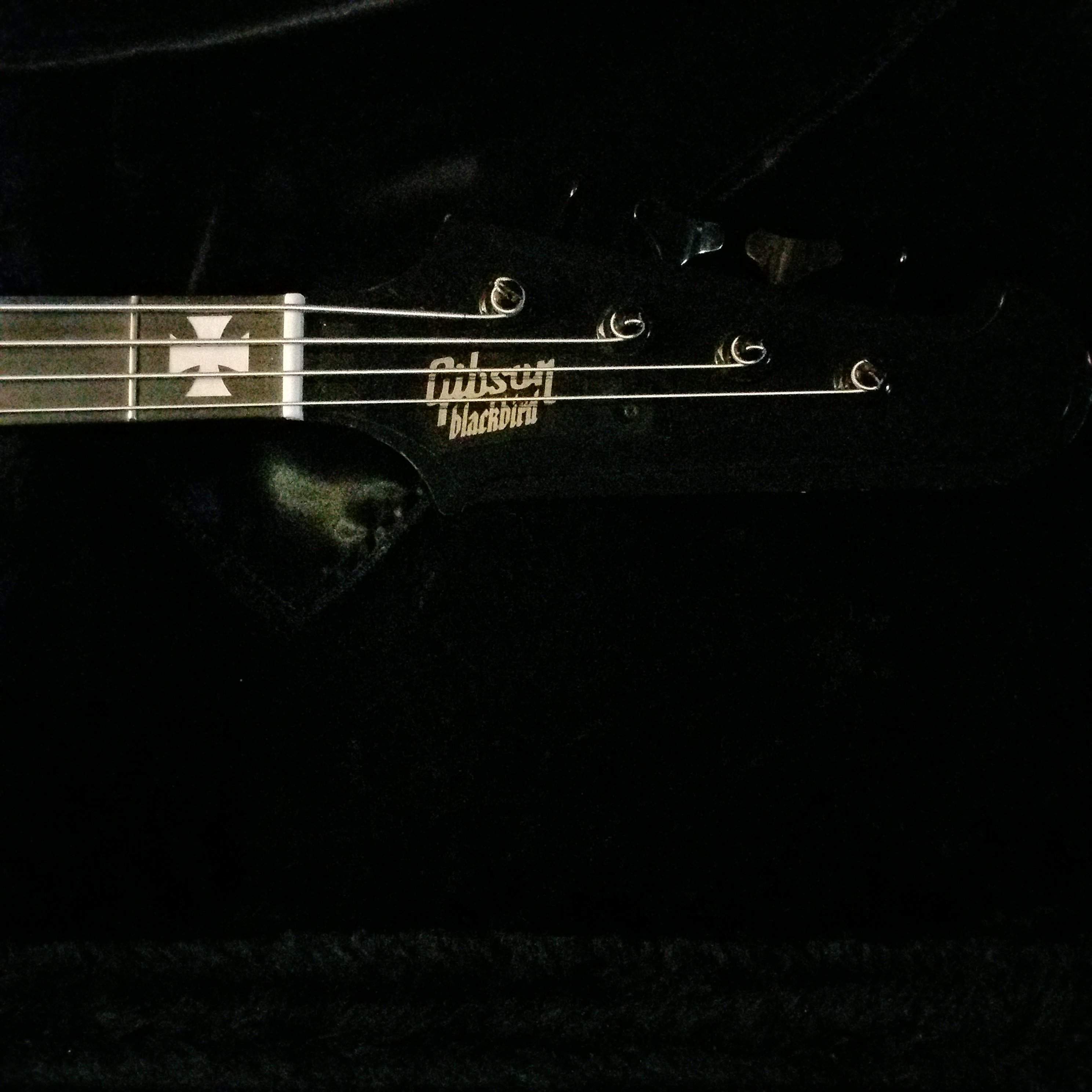 20160221_100230.jpg