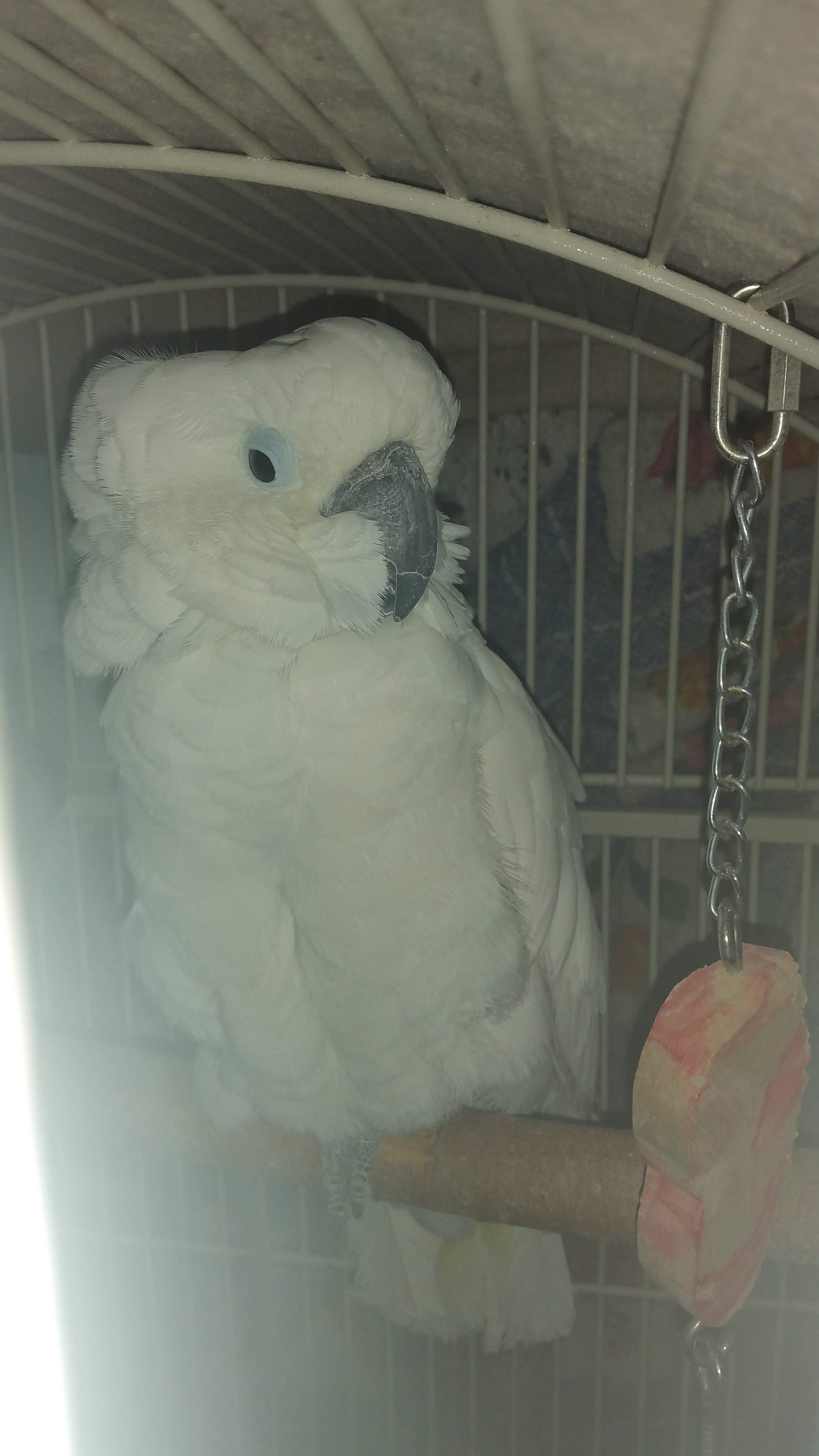 20160307_215634.jpg