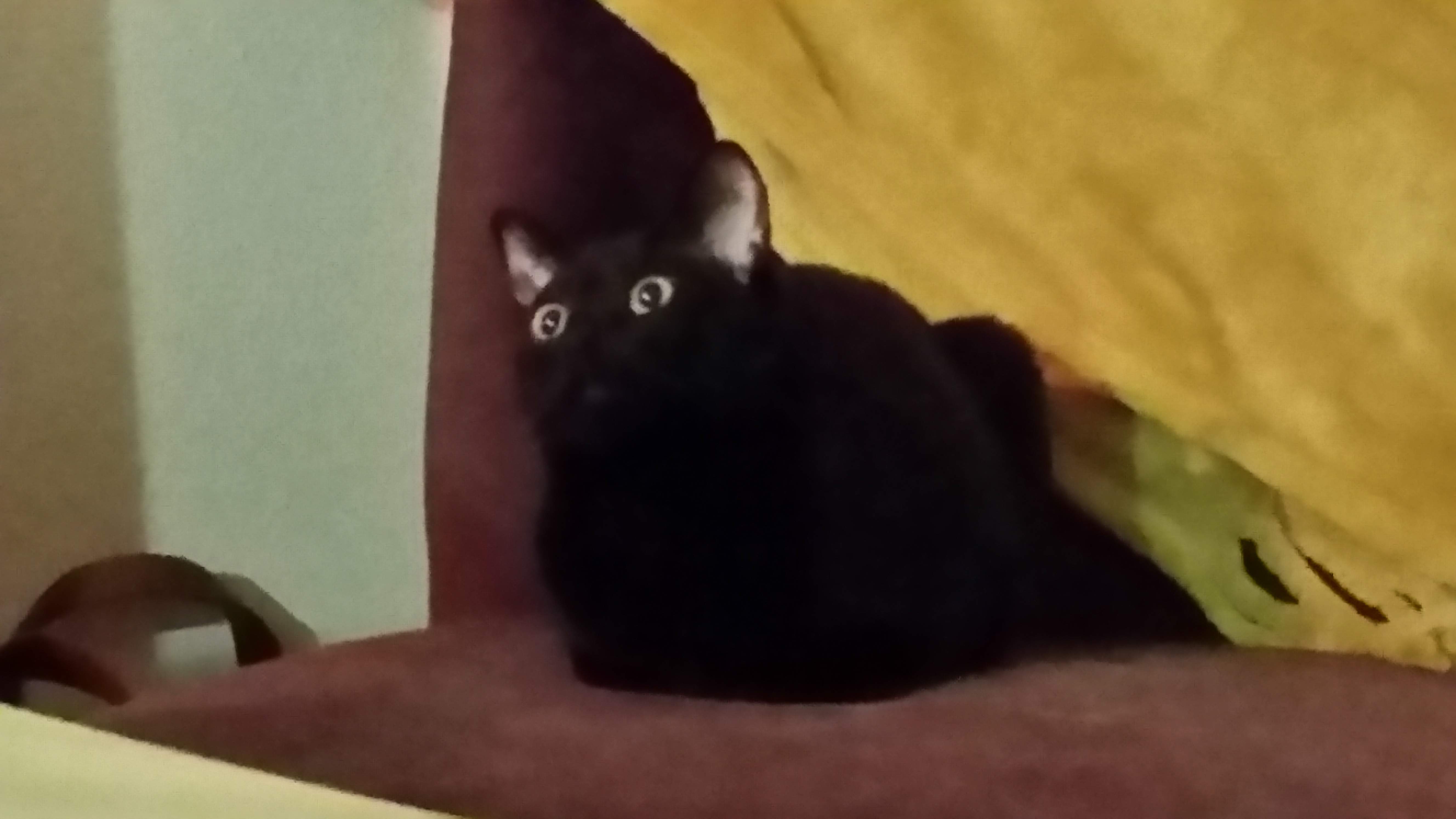 20160419_233811.jpg