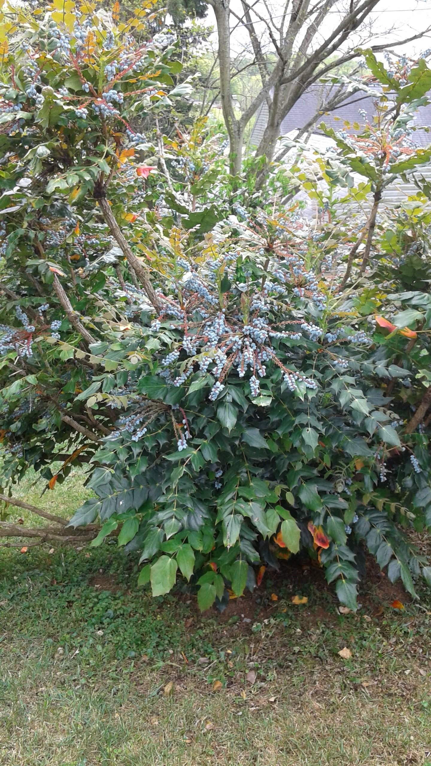 20160423_133420.jpg