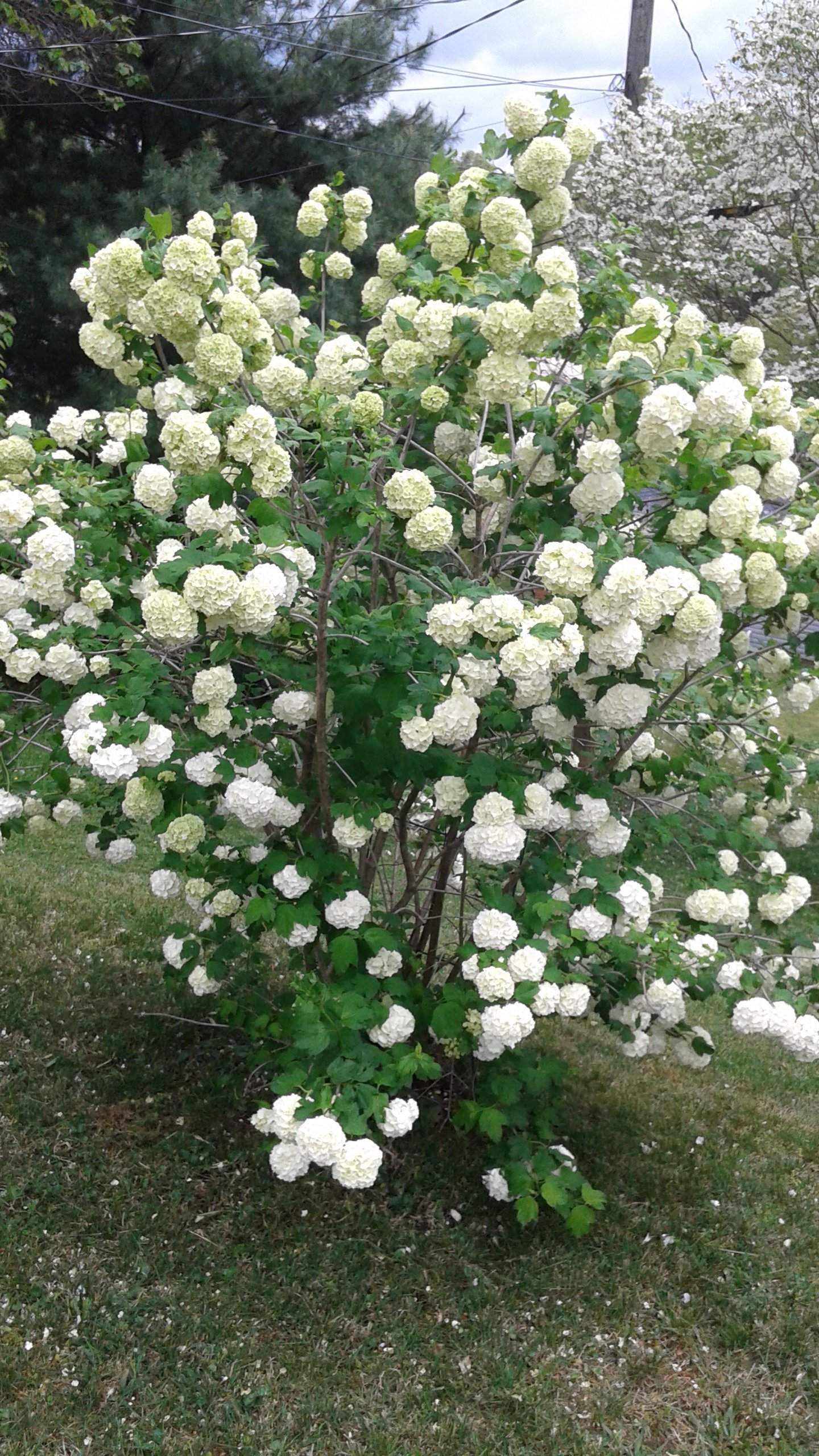 20160423_133426.jpg