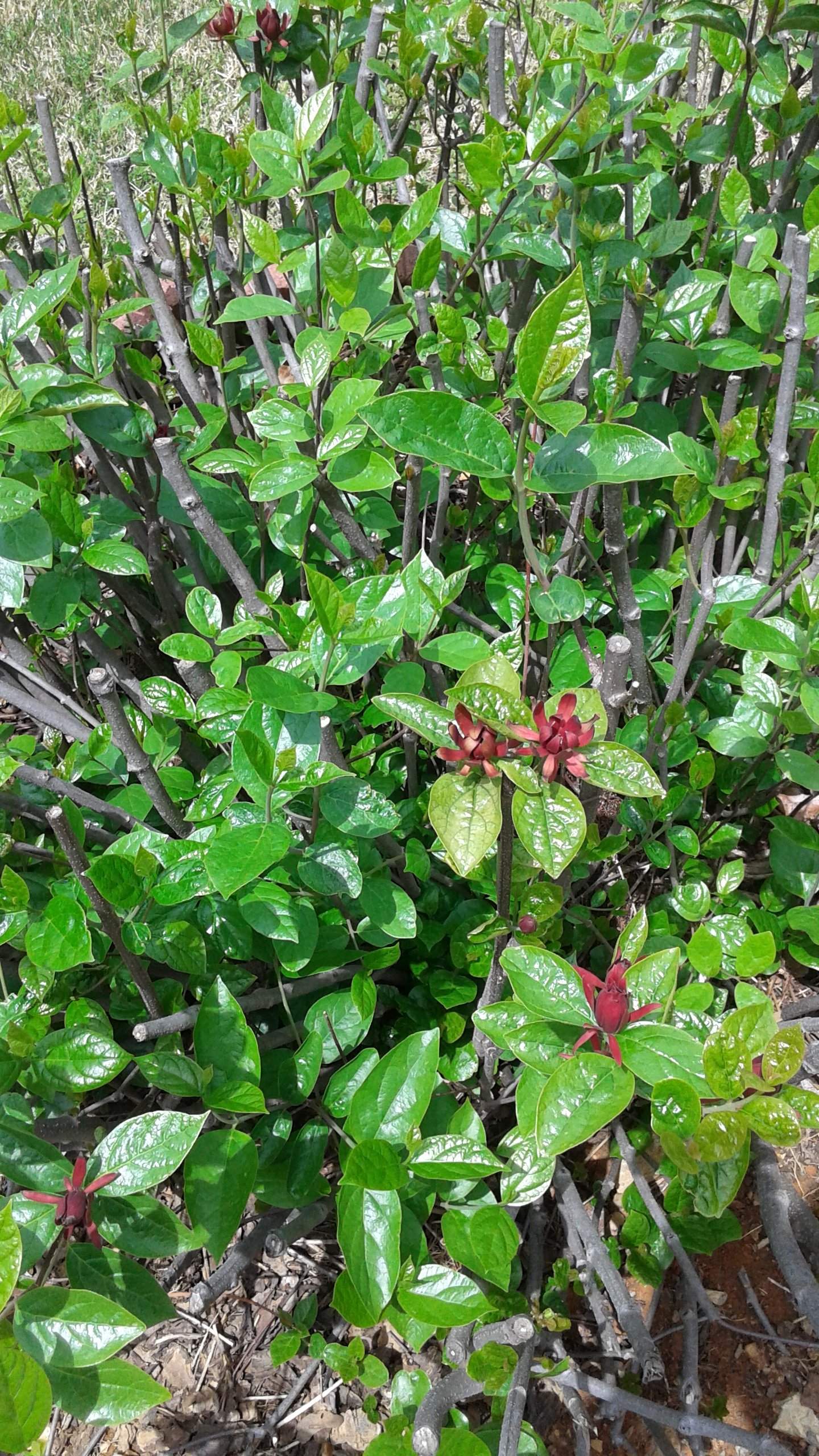 20160423_133508.jpg