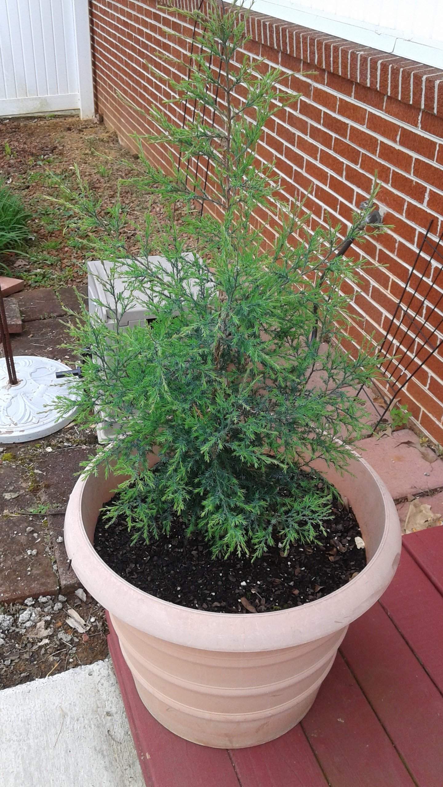 20160423_133521.jpg