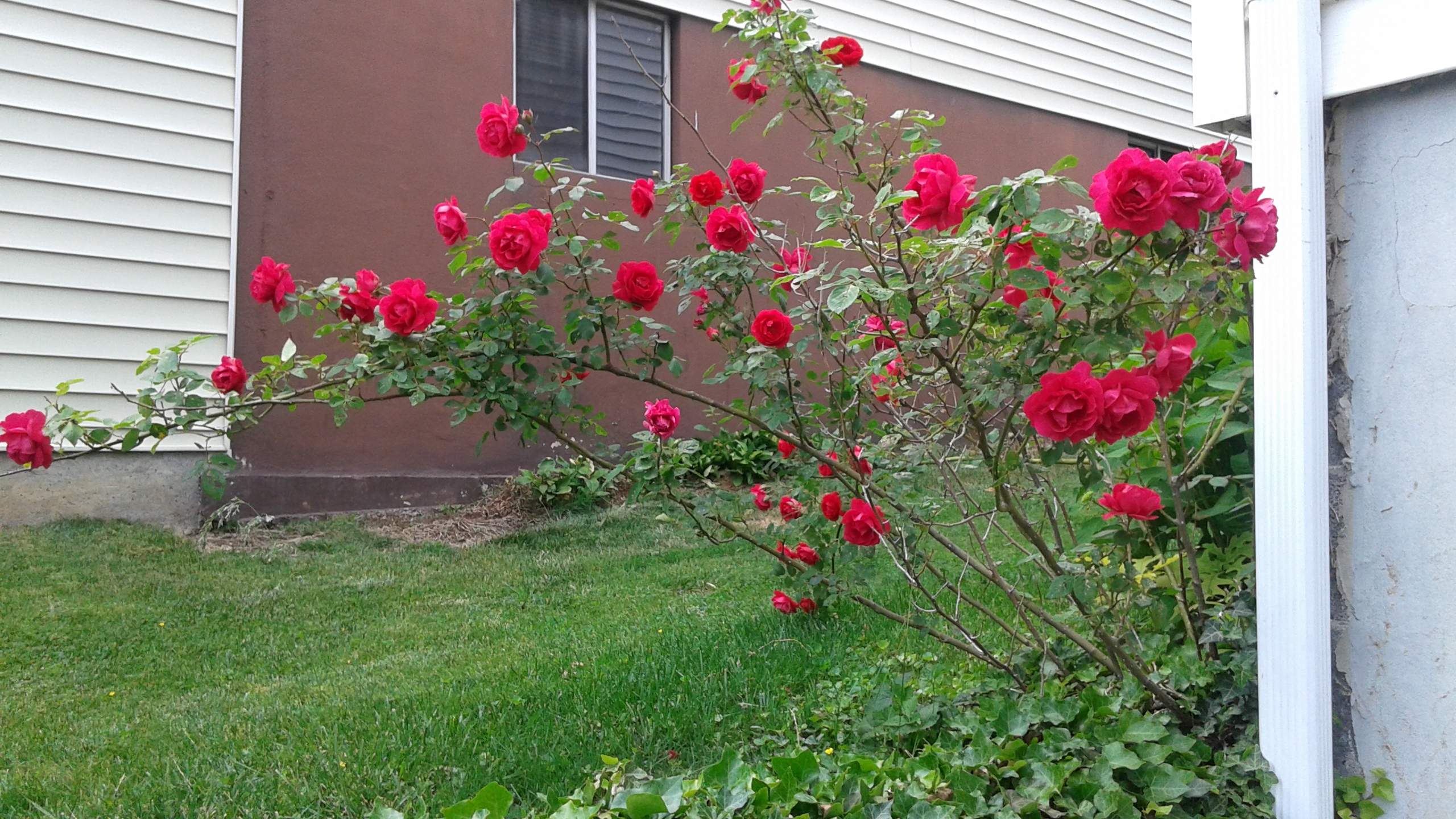 20160508_144322.jpg