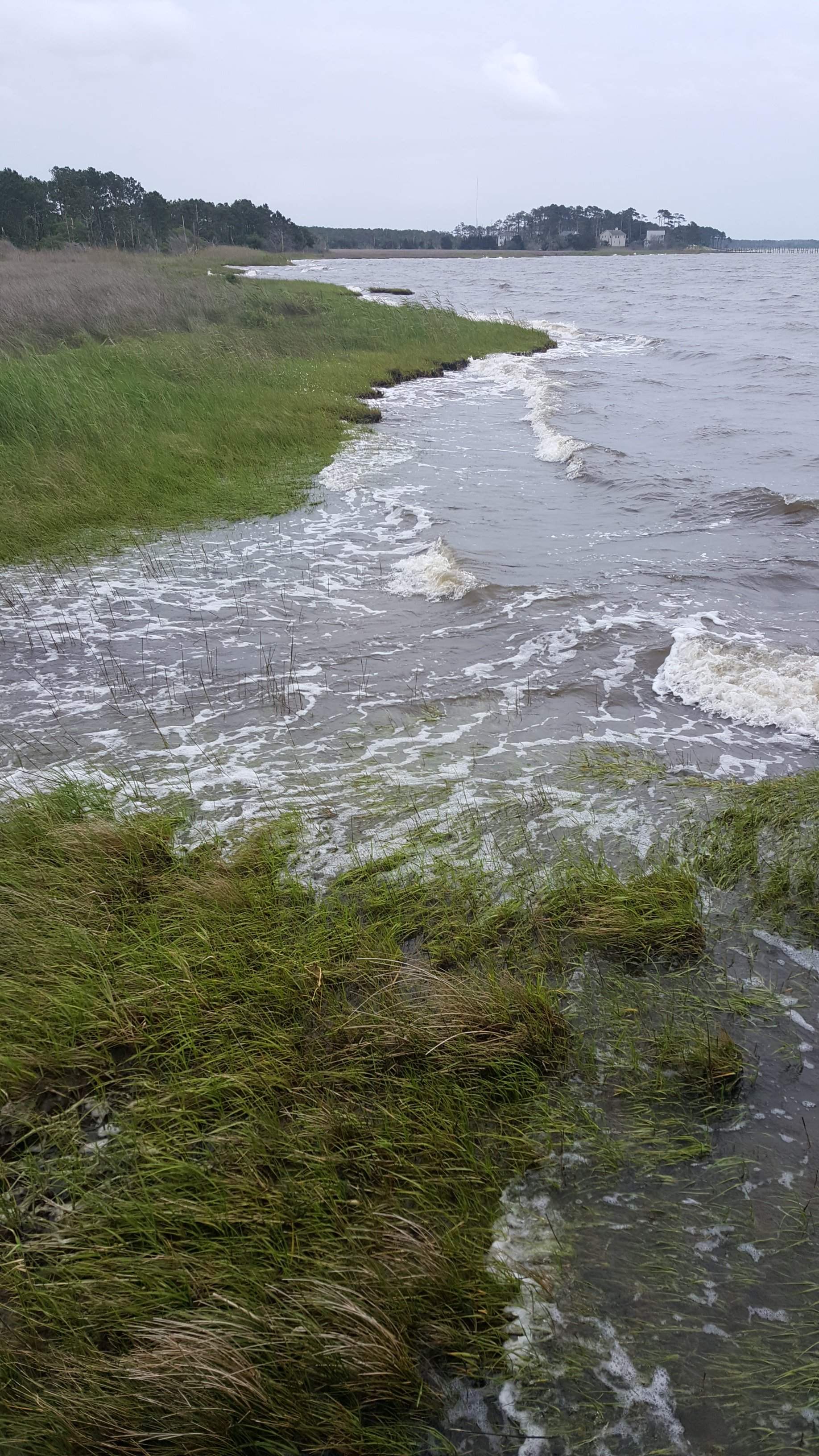 20160517_165315.jpg