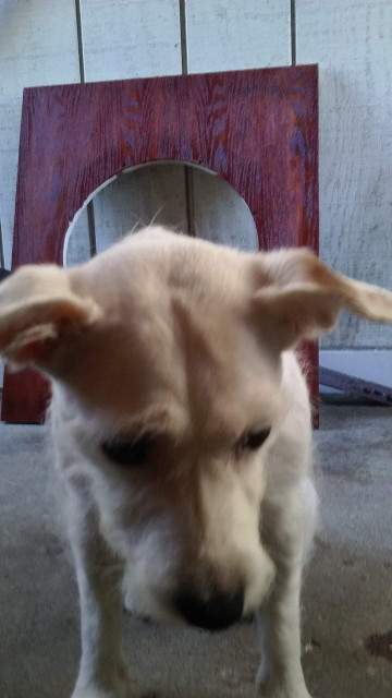 20160629_144058.jpg