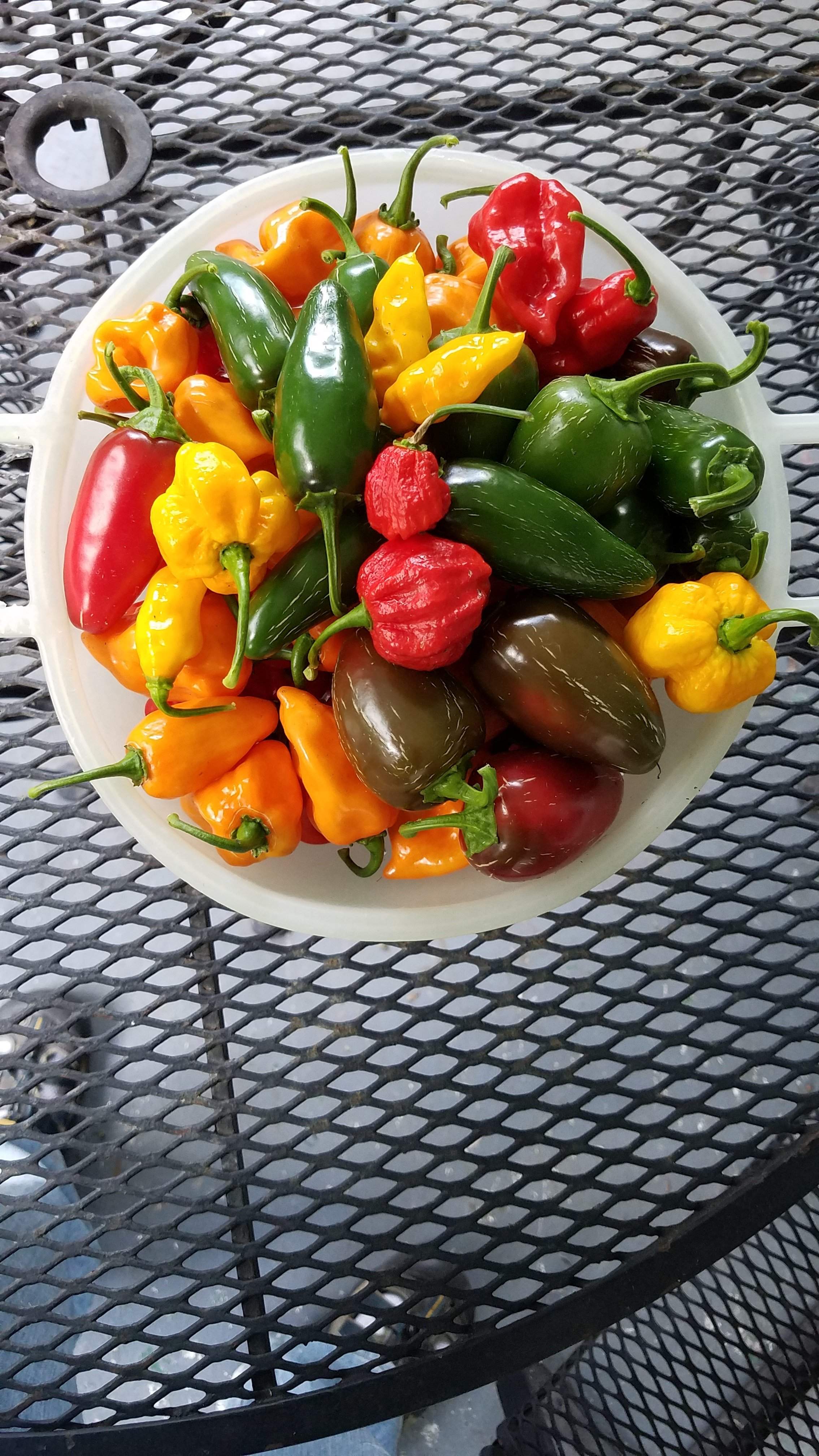 20160724_170935.jpg