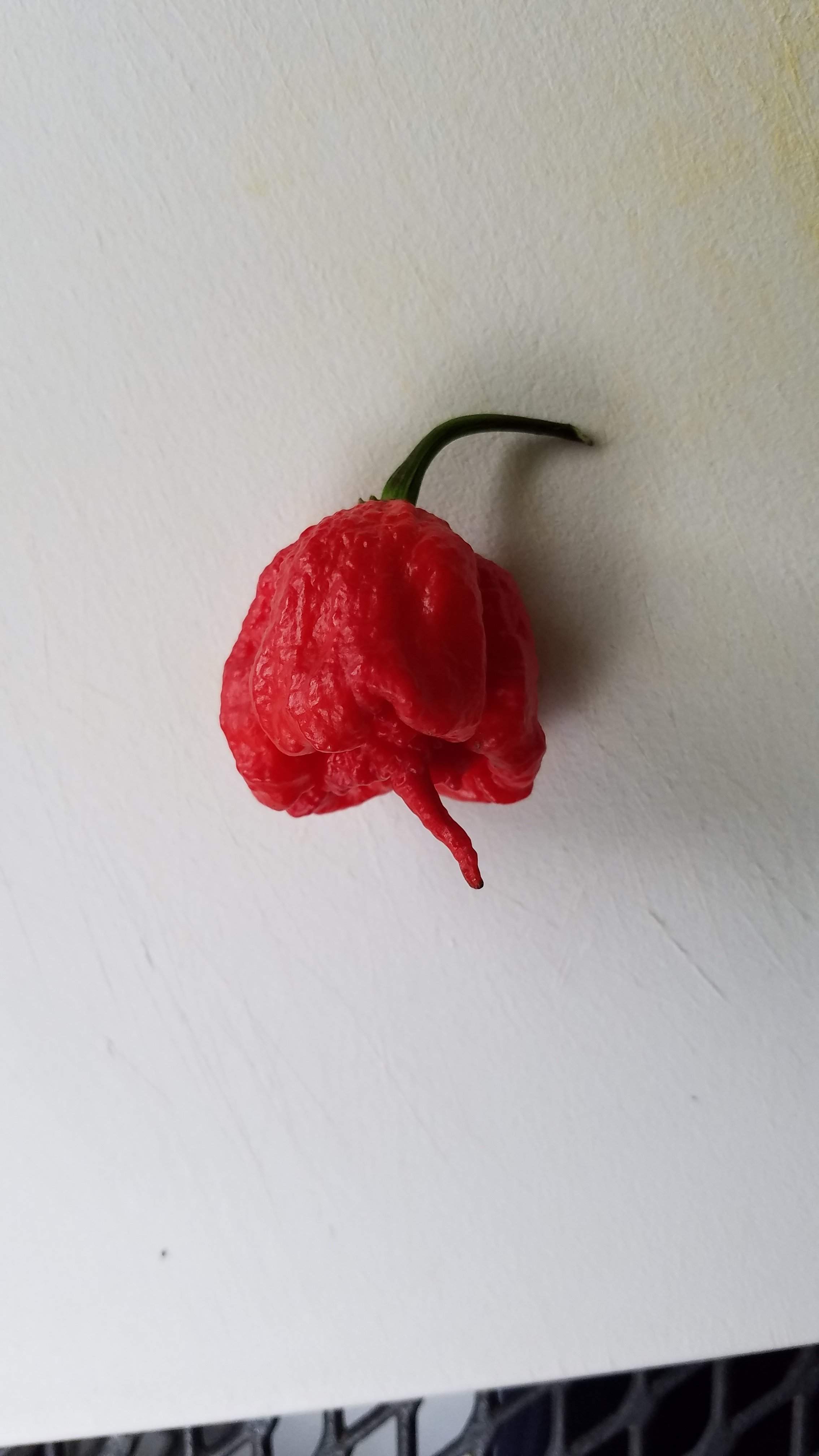 20160809_121722.jpg