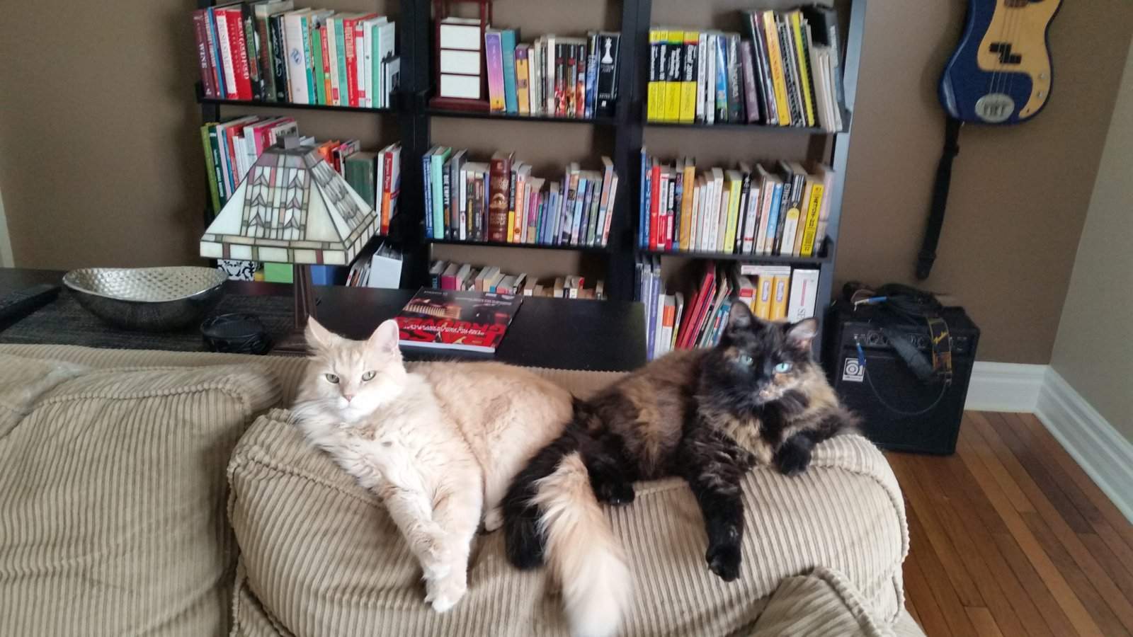 20160814_100144.jpg