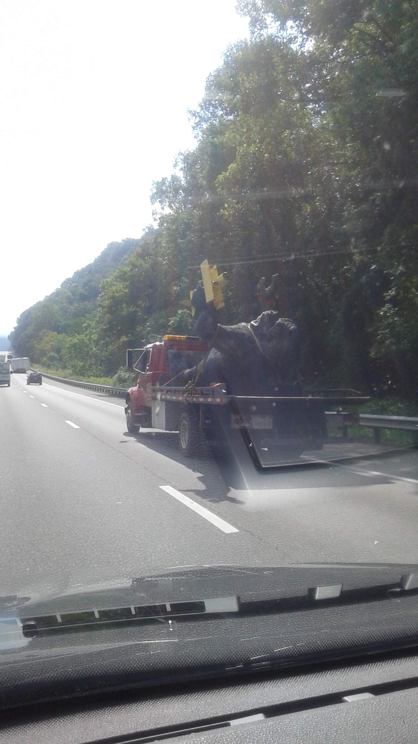 20160826_104858.jpg