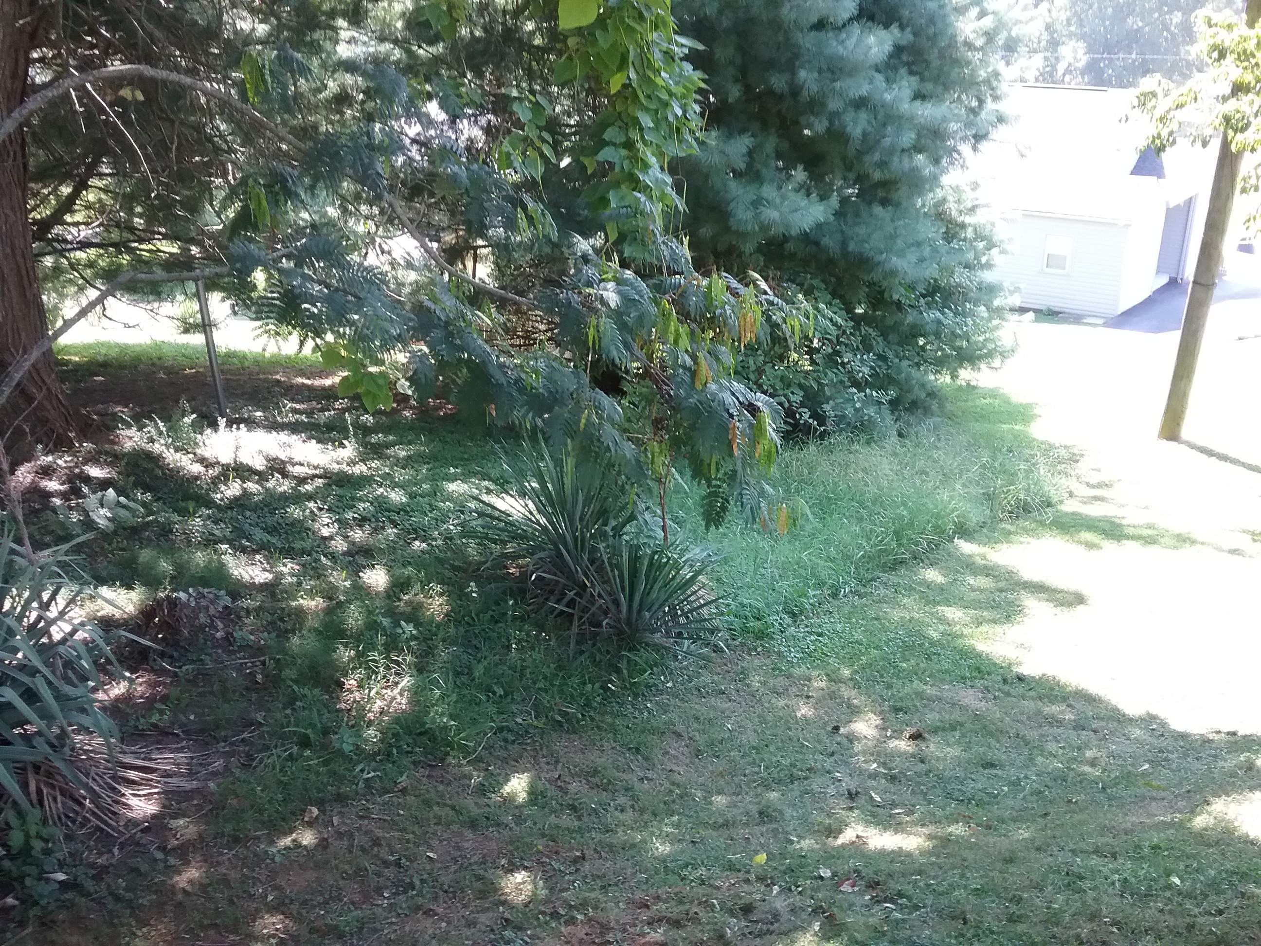 20160830_111531.jpg